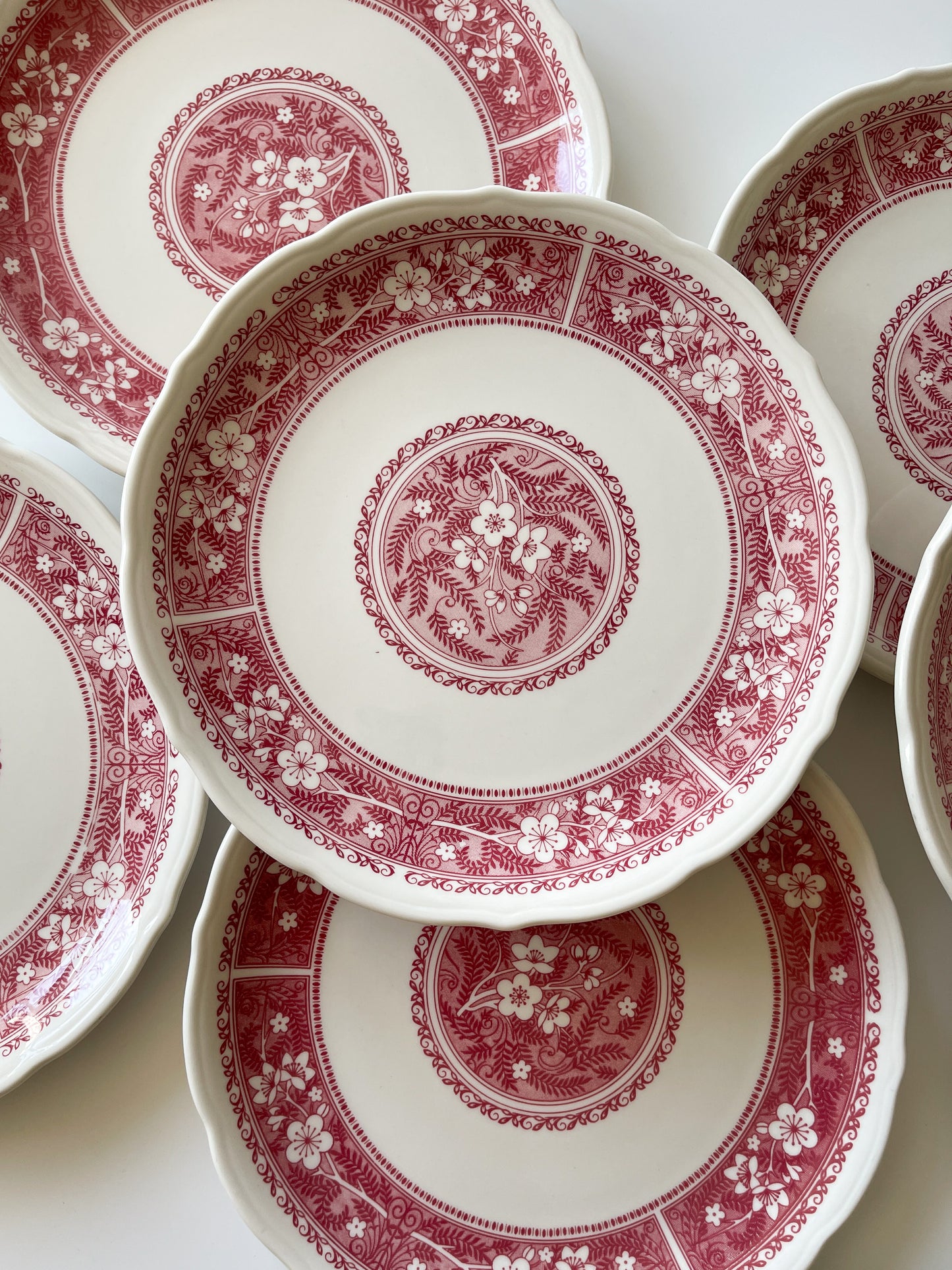 Vintage Syracuse China Strawberry Hill Restaurantware Dinner Plates
