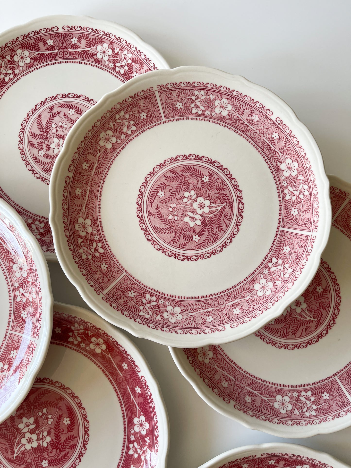 Vintage Syracuse China Strawberry Hill Restaurantware Dinner Plates