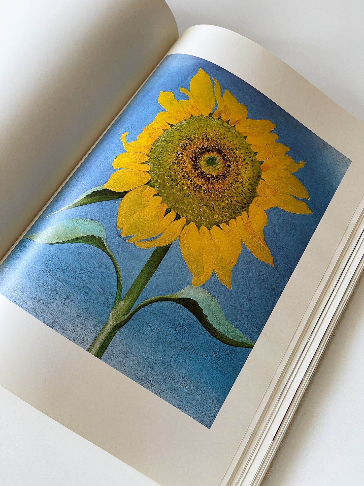 Vintage Georgia O’Keeffe (A Studio Book) 1976 First Edition Hardcover