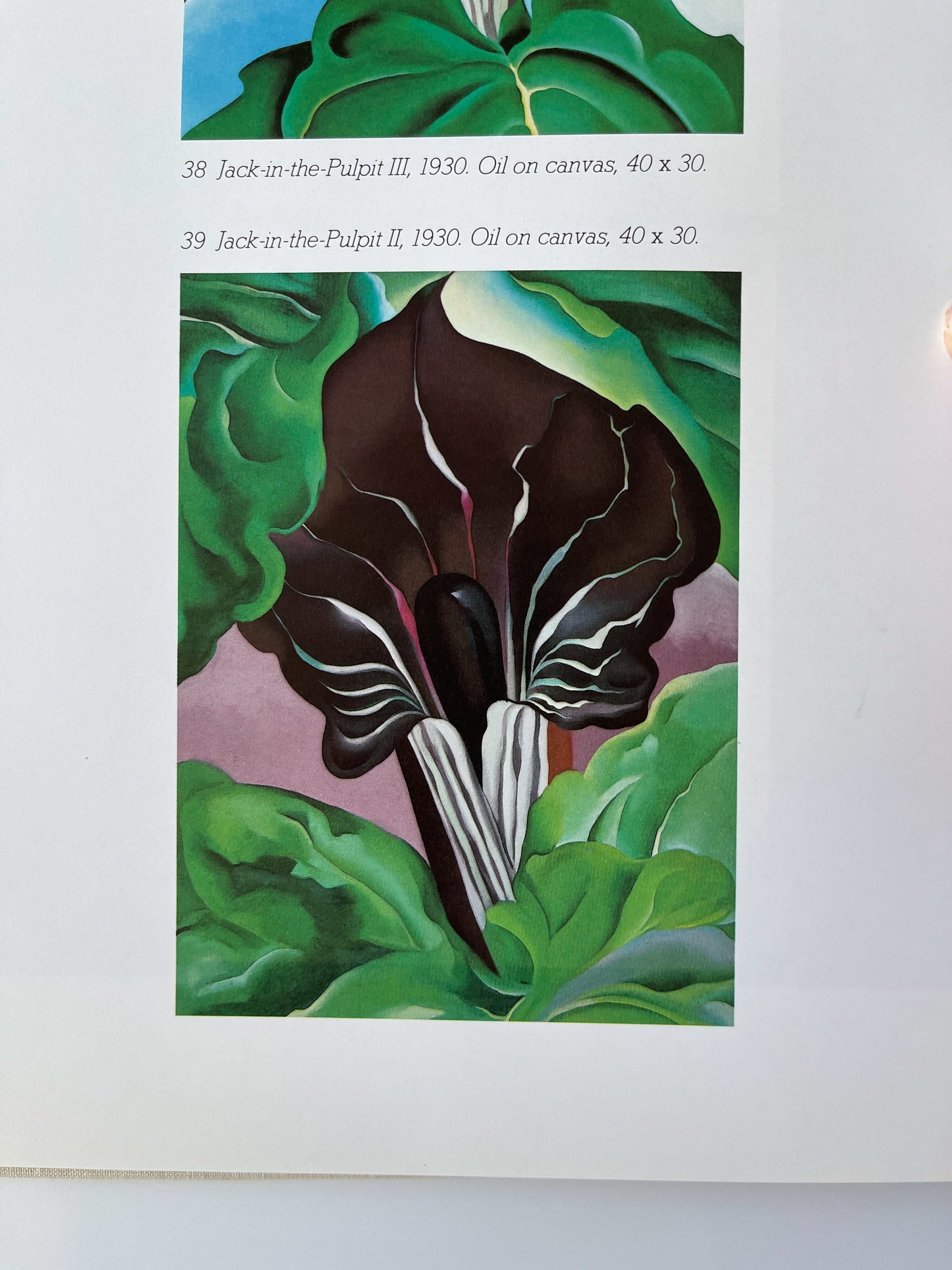 Vintage Georgia O’Keeffe (A Studio Book) 1976 First Edition Hardcover