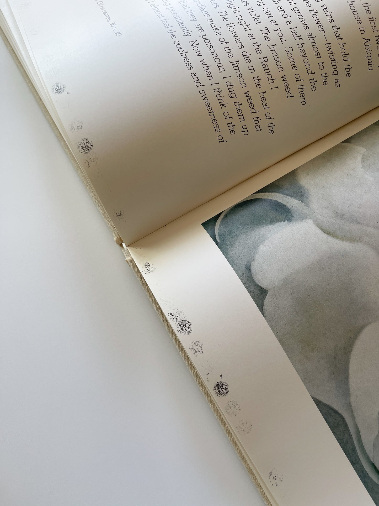 Vintage Georgia O’Keeffe (A Studio Book) 1976 First Edition Hardcover