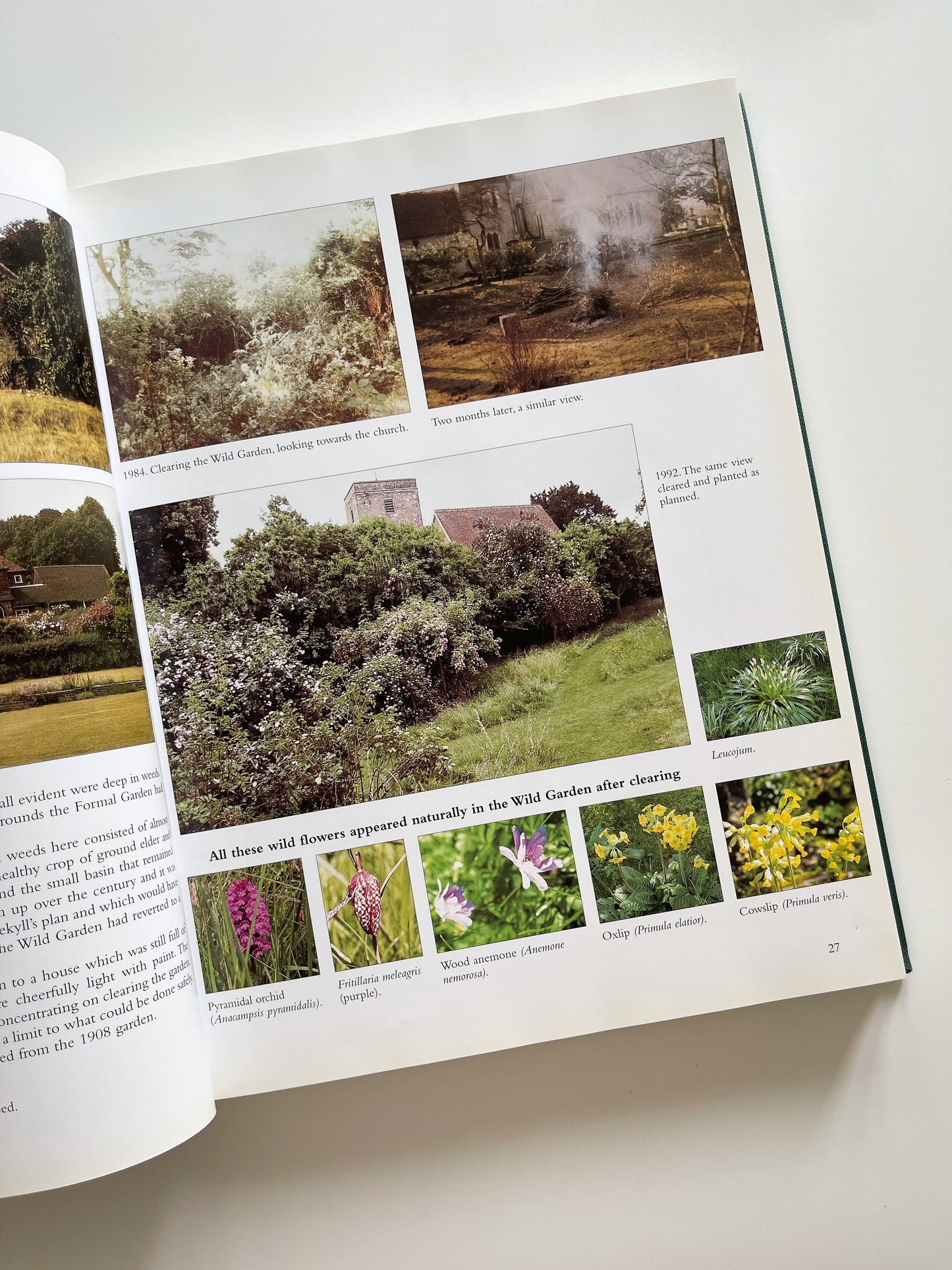 Gertrude Jekyll's Lost Garden by Rosamund Wallinger