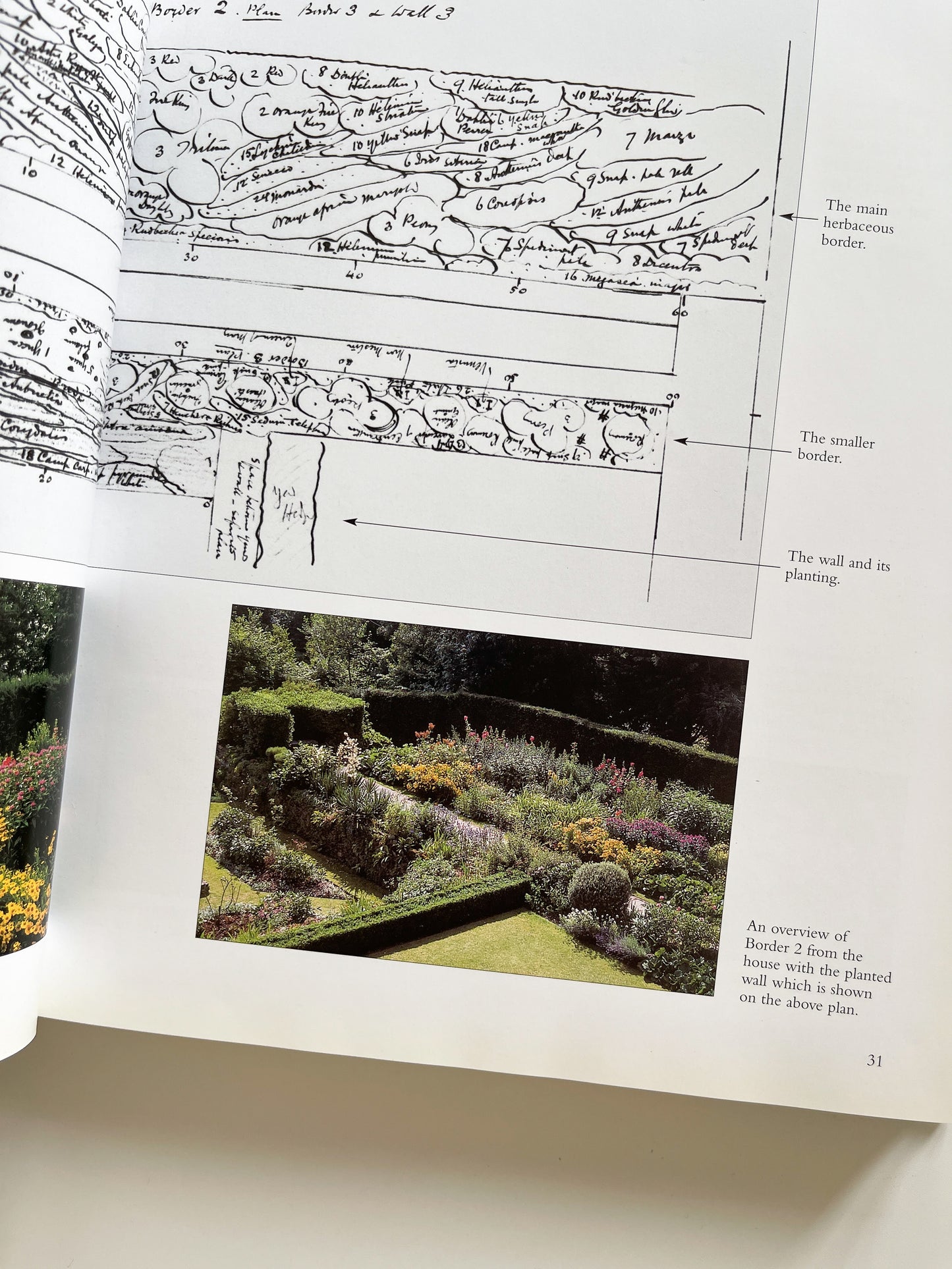 Gertrude Jekyll's Lost Garden by Rosamund Wallinger