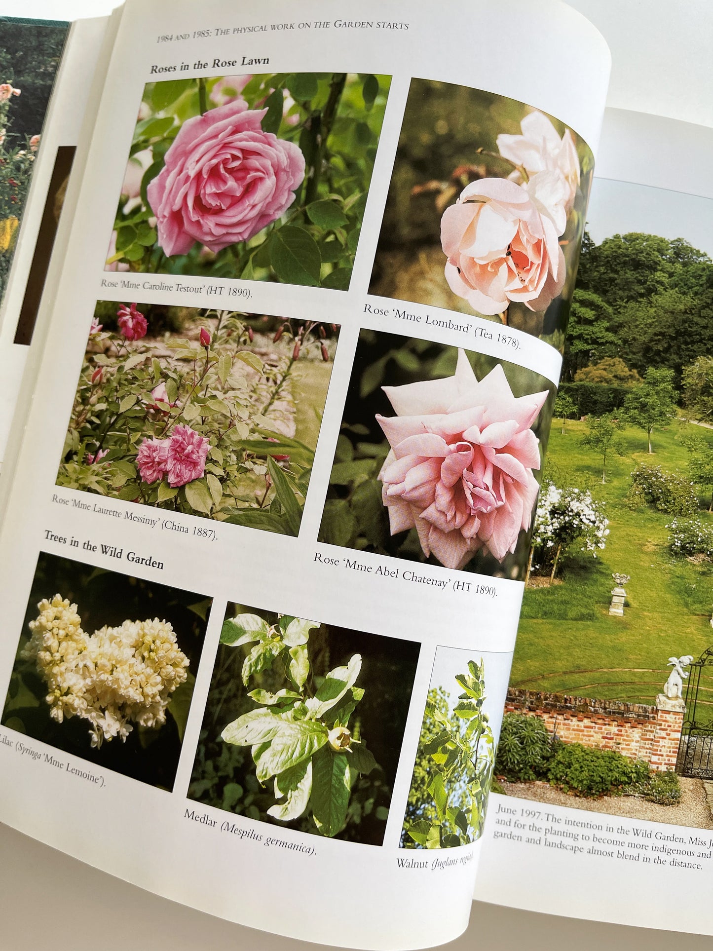 Gertrude Jekyll's Lost Garden by Rosamund Wallinger