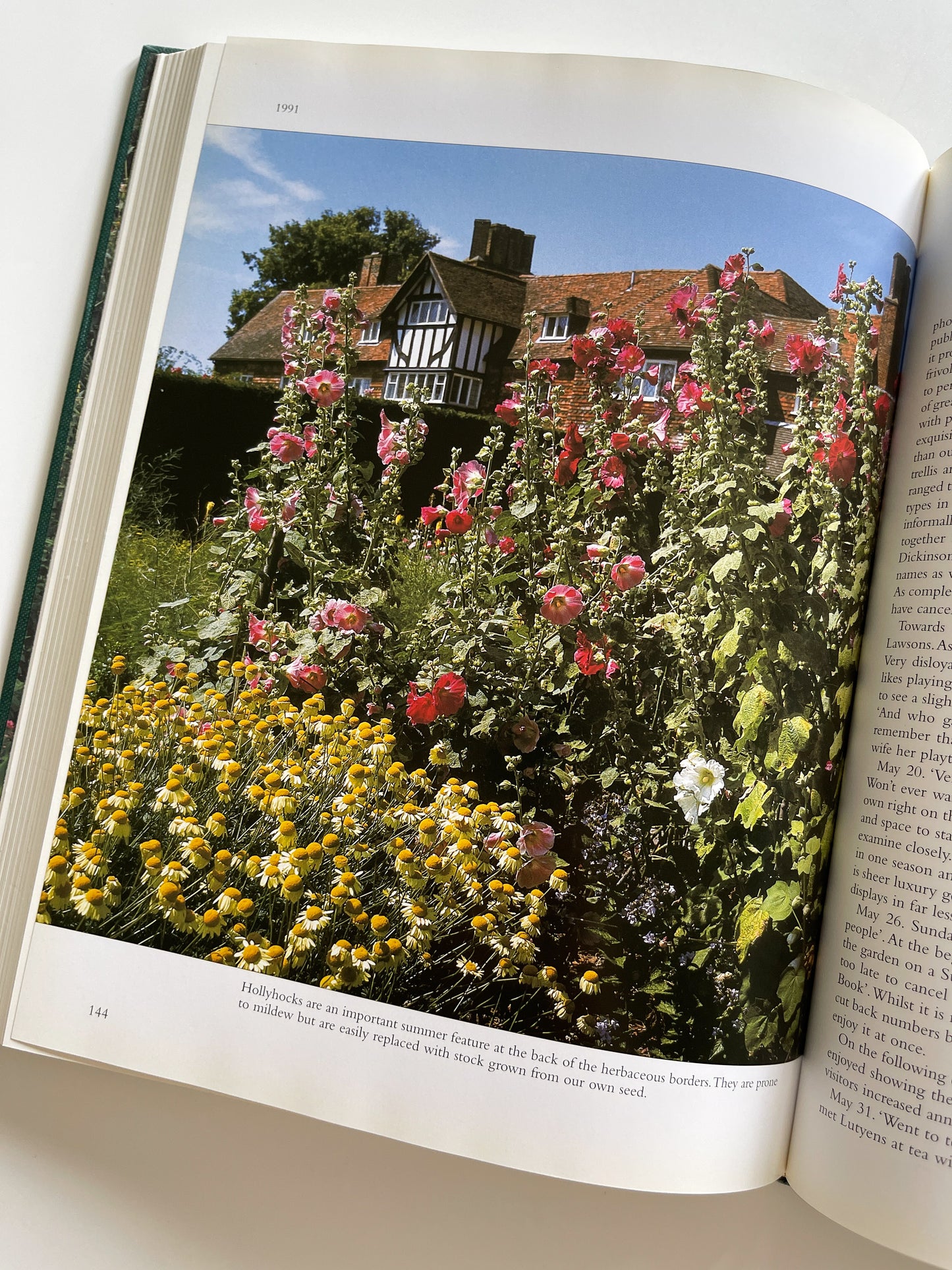 Gertrude Jekyll's Lost Garden by Rosamund Wallinger