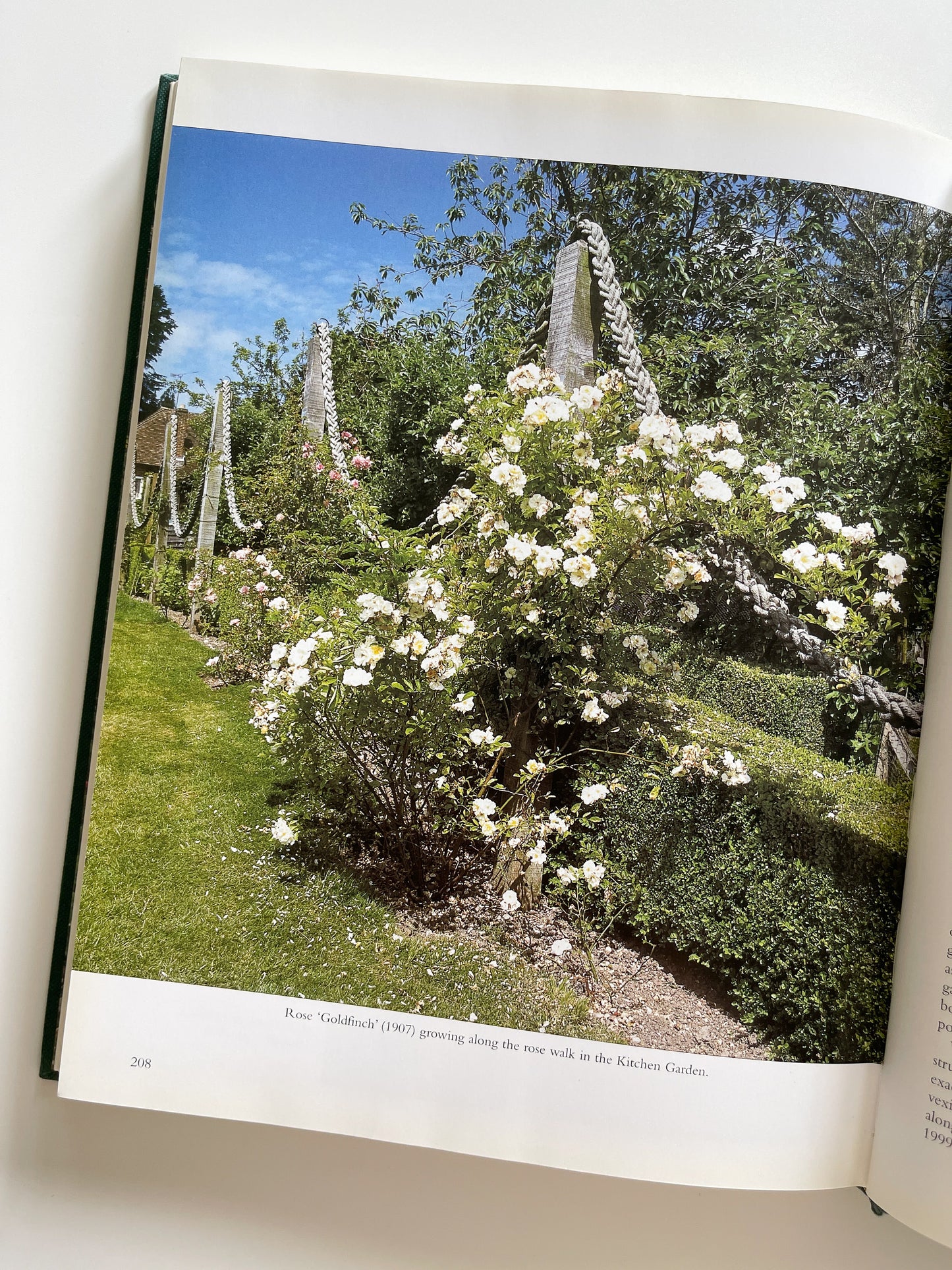 Gertrude Jekyll's Lost Garden by Rosamund Wallinger