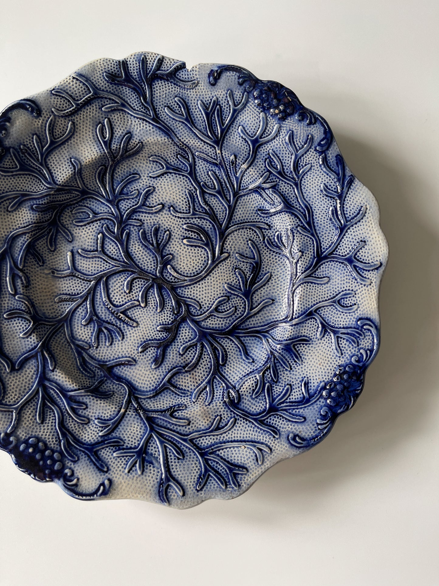 19th Century Salt Glazed Majolica Seaweed Plate