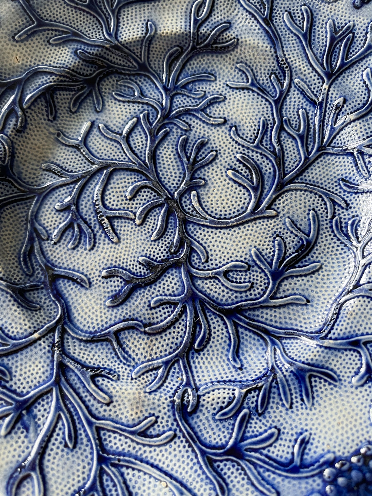 19th Century Salt Glazed Majolica Seaweed Plate