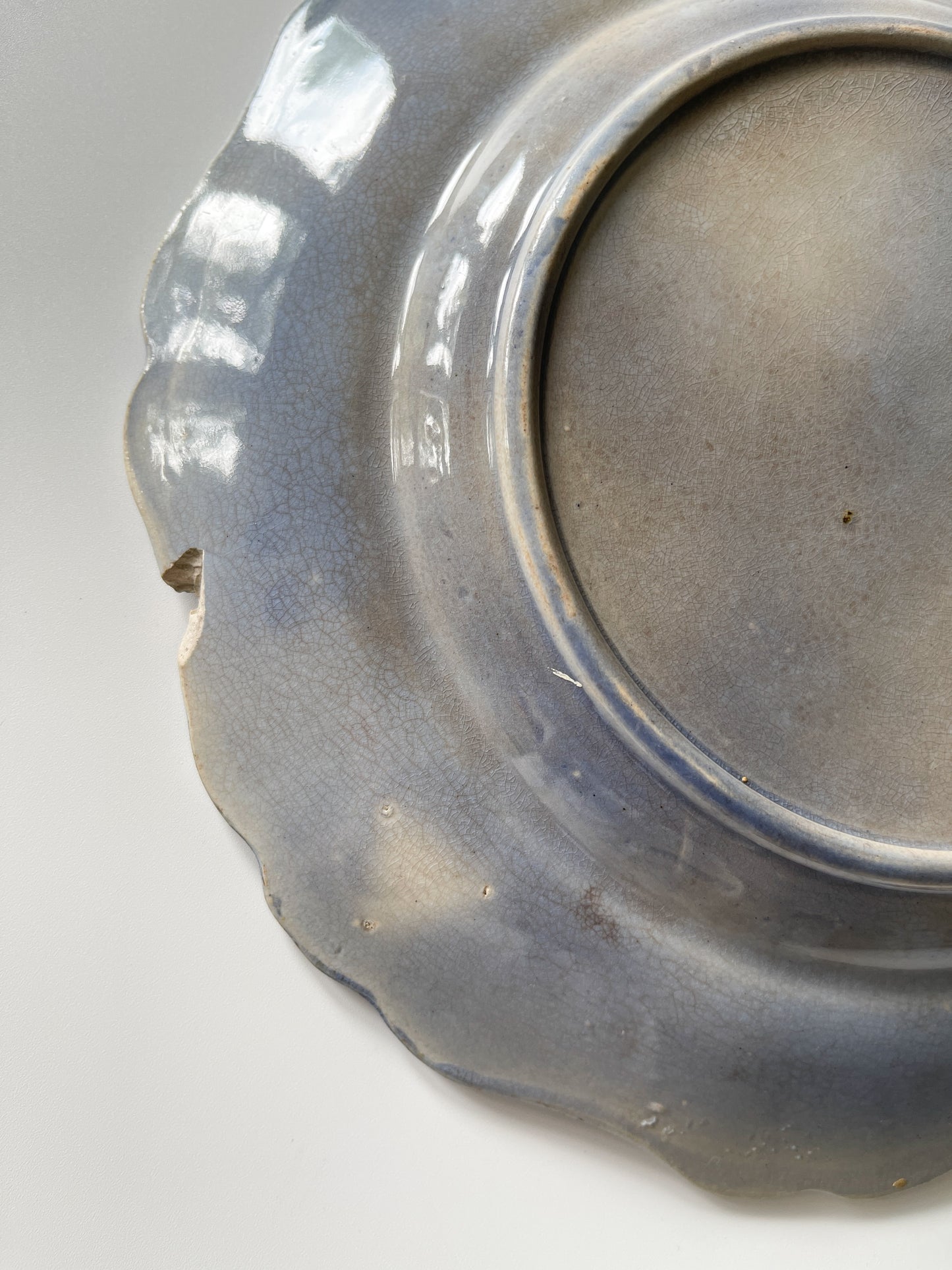 19th Century Salt Glazed Majolica Seaweed Plate