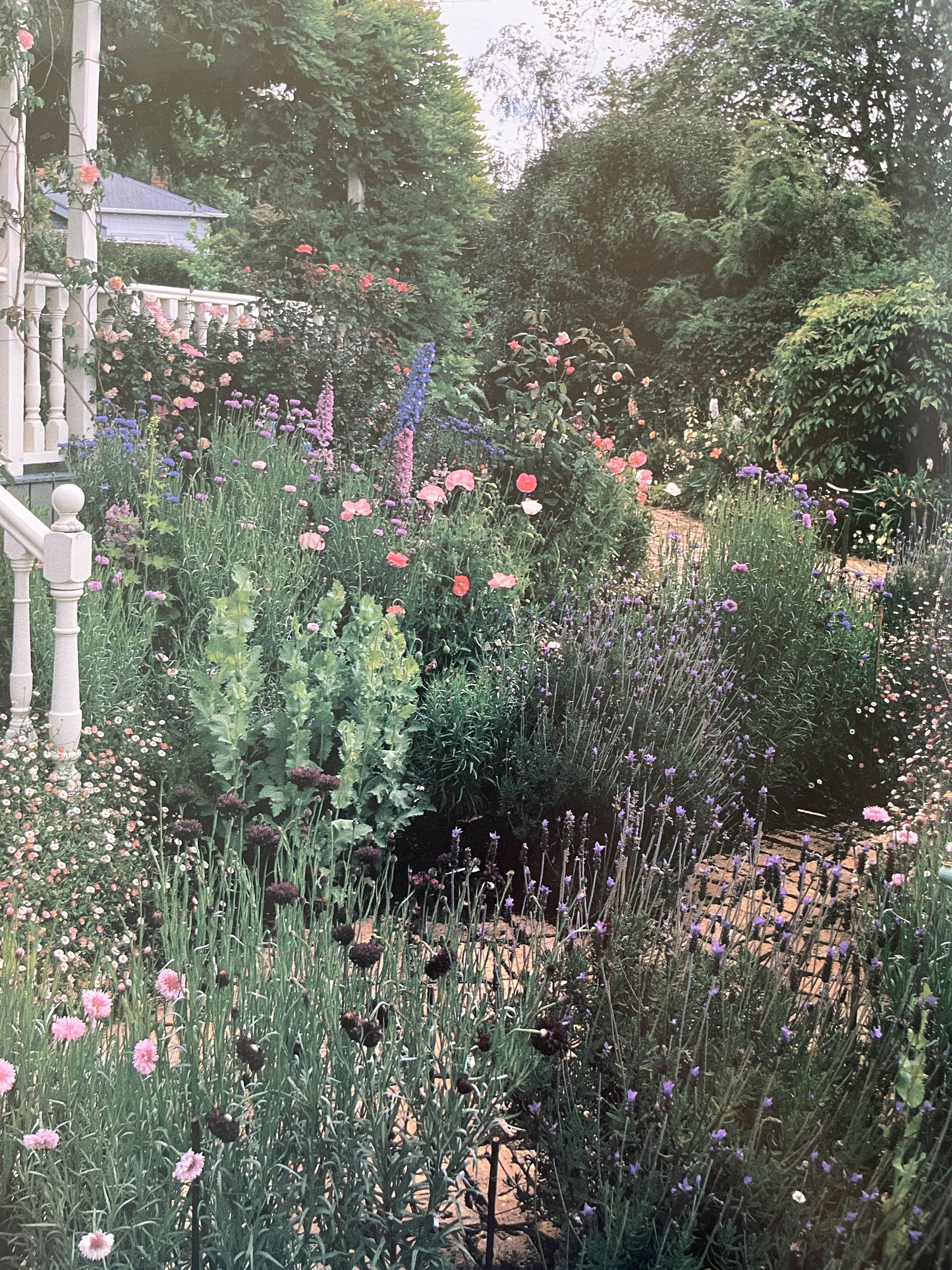 History of the Garden It's Evolution & Design (1996) by Howard Loxton
