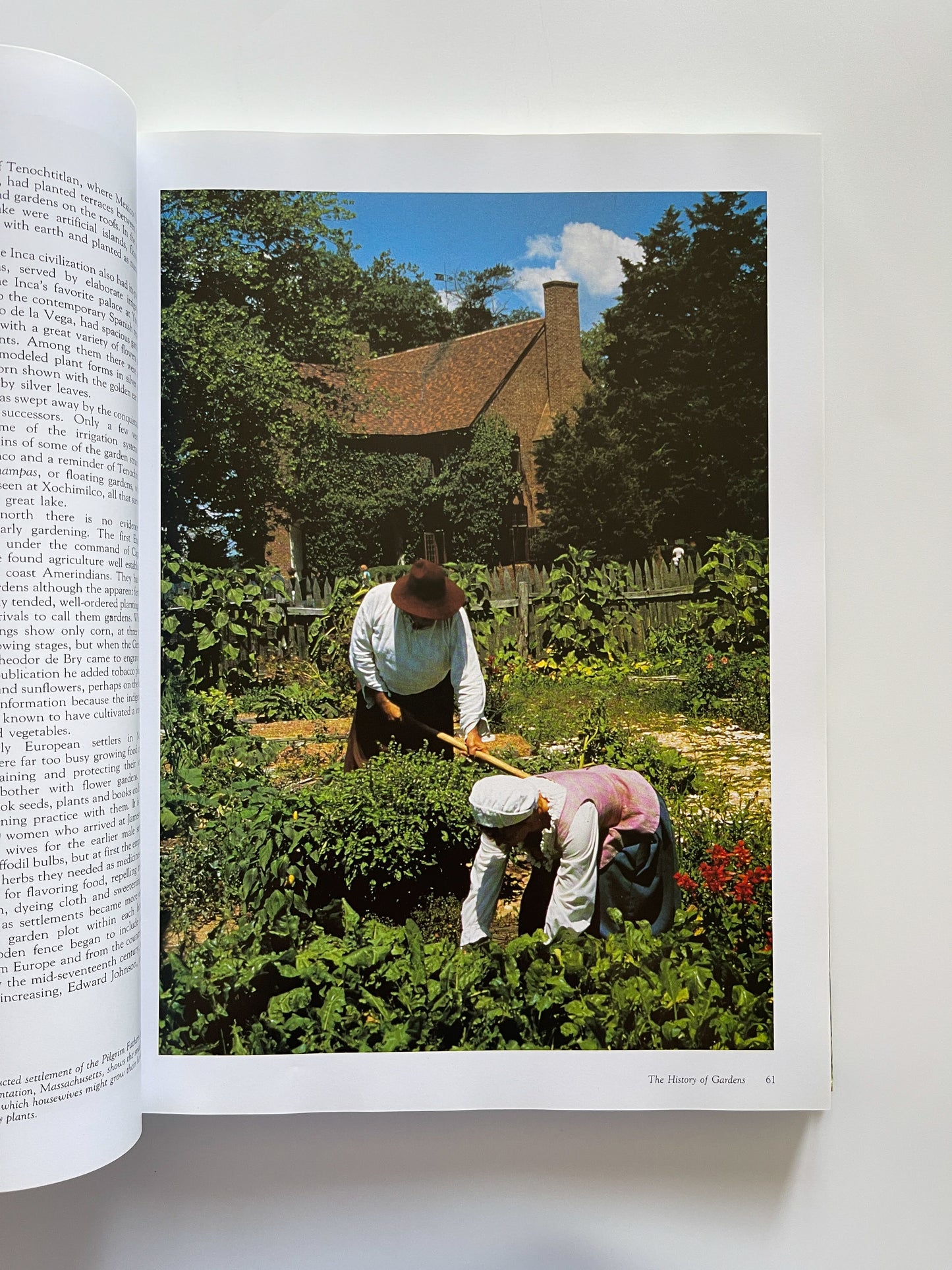 History of the Garden It's Evolution & Design (1996) by Howard Loxton