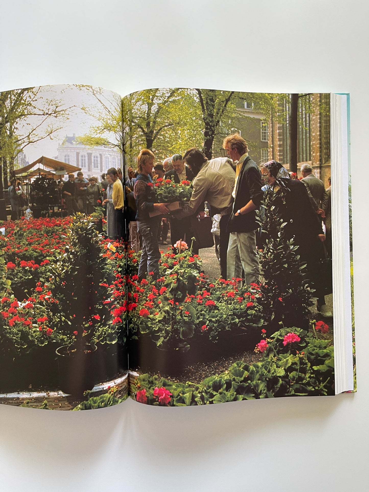 History of the Garden It's Evolution & Design (1996) by Howard Loxton