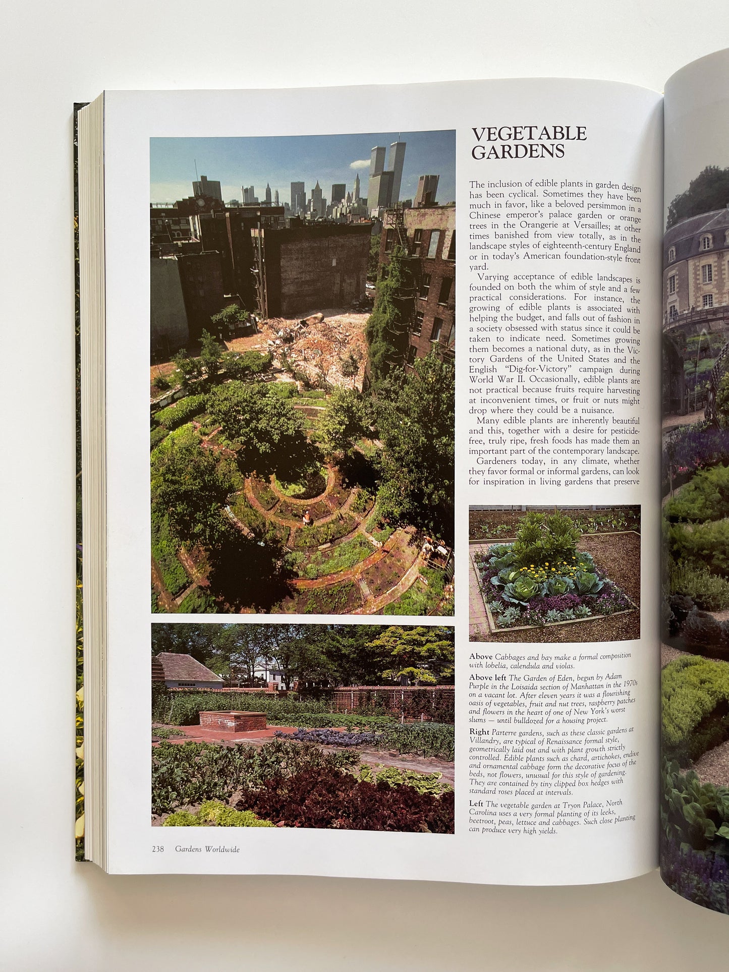 History of the Garden It's Evolution & Design (1996) by Howard Loxton