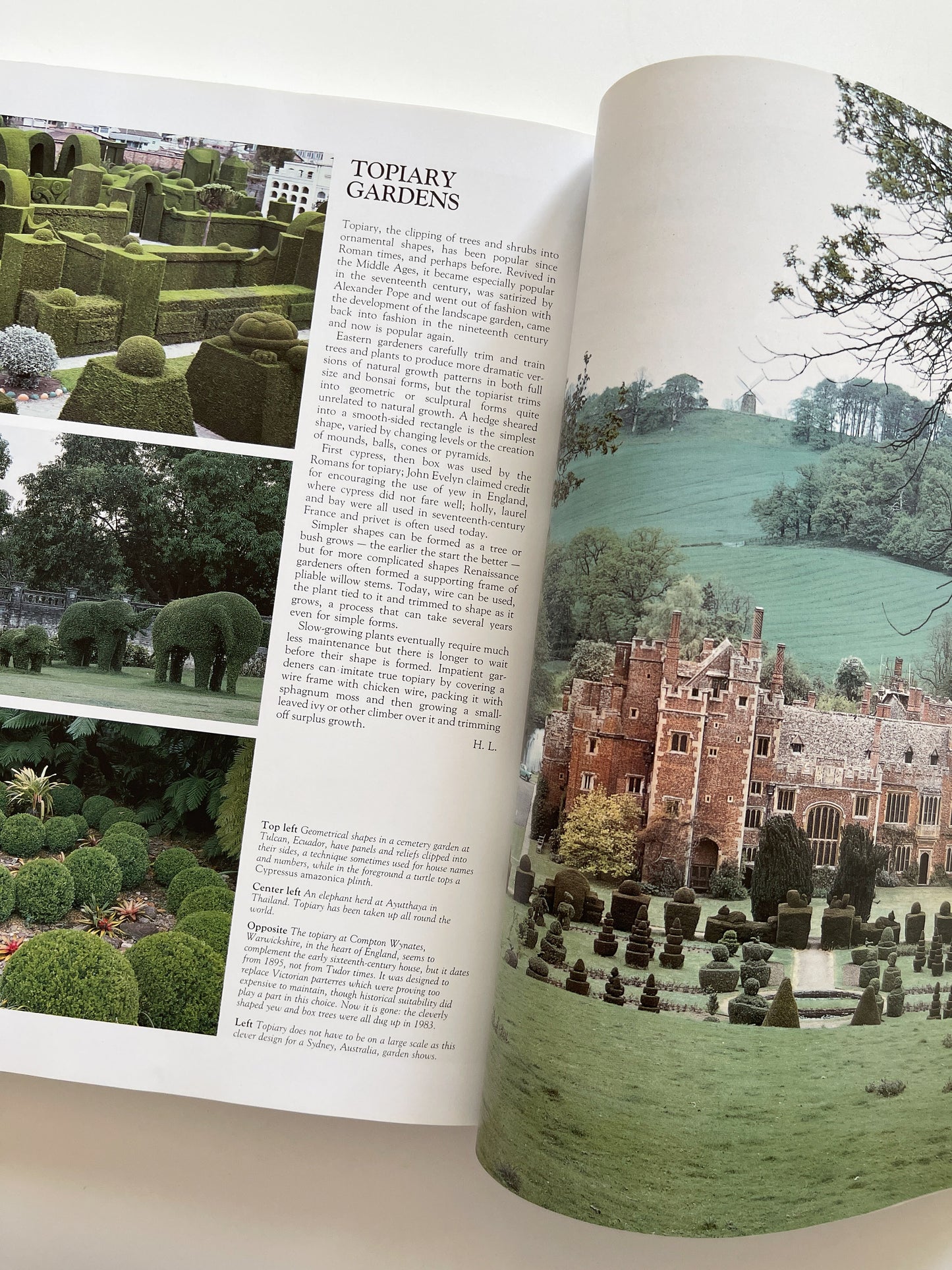 History of the Garden It's Evolution & Design (1996) by Howard Loxton