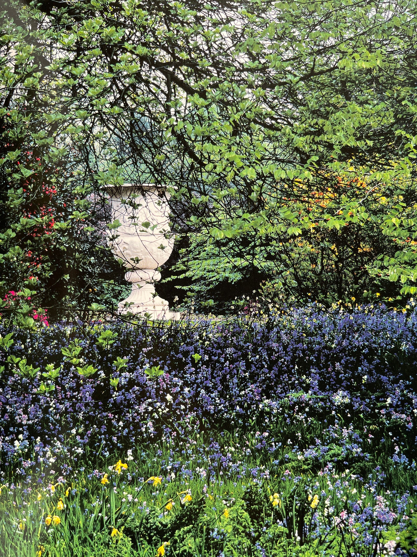 The Garden at Buckingham Palace by Jane Brown