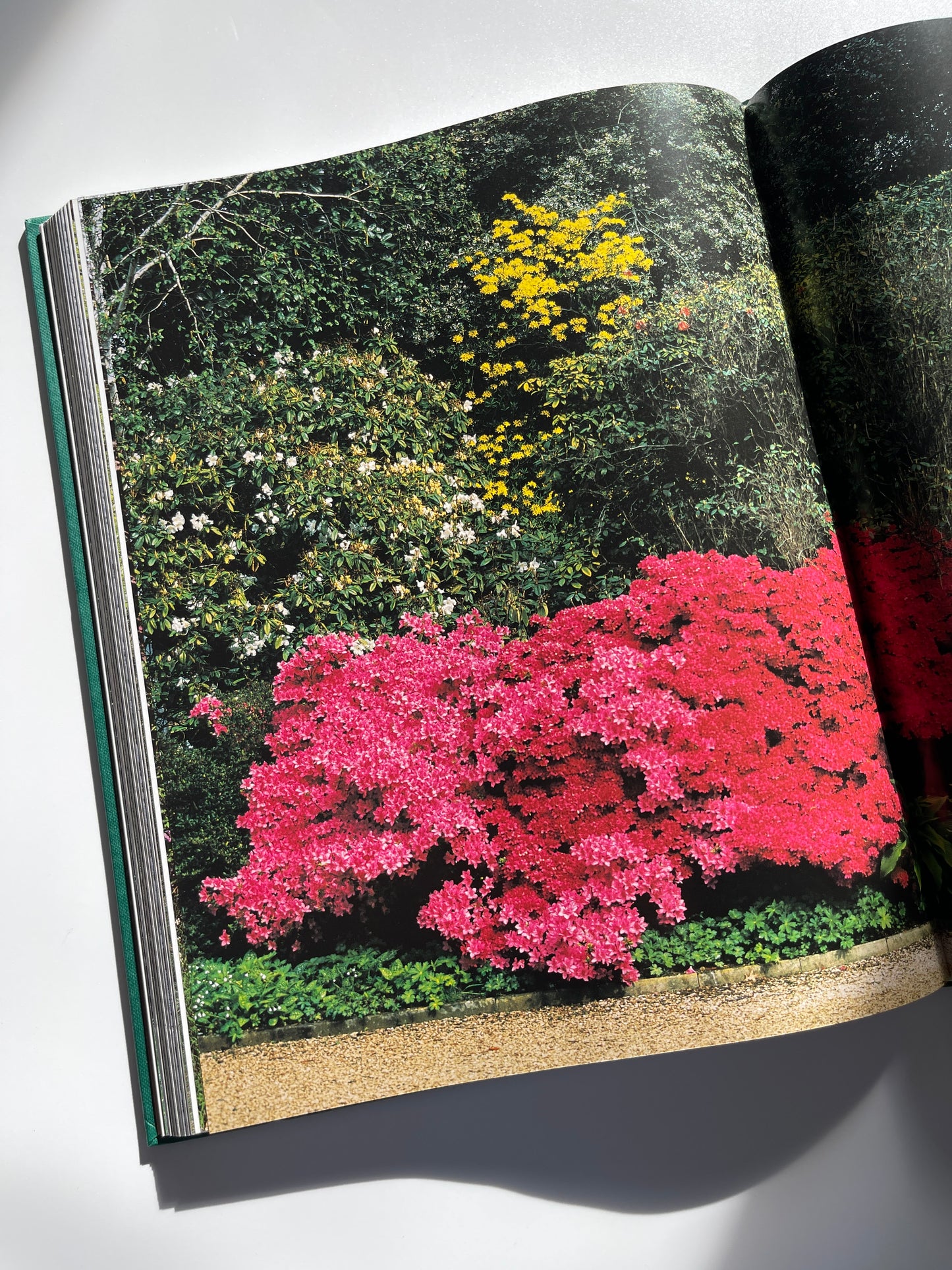 The Garden at Buckingham Palace by Jane Brown