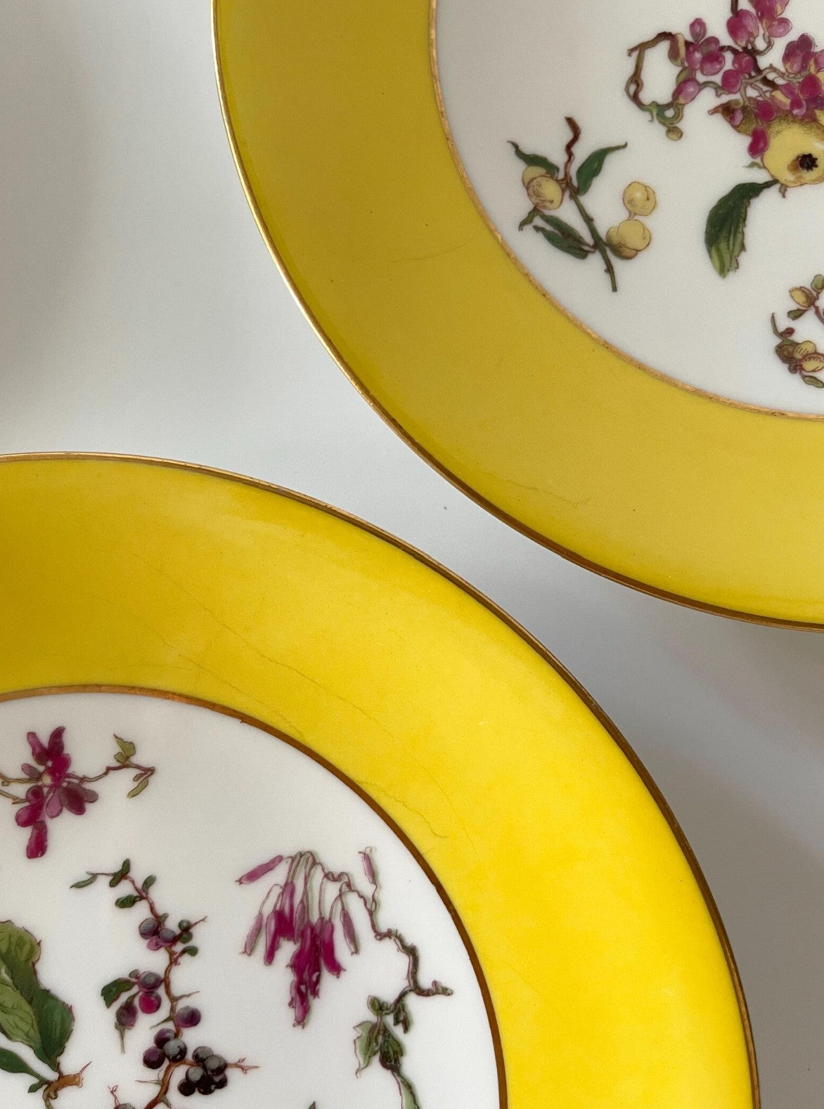 Haviland France Botanical Dessert Plates
