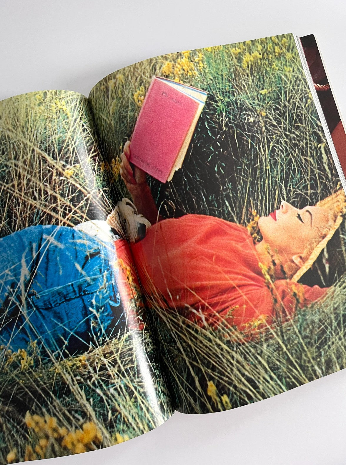 Vogue Book of Fashion Photography, Polly Devlin, 1979
