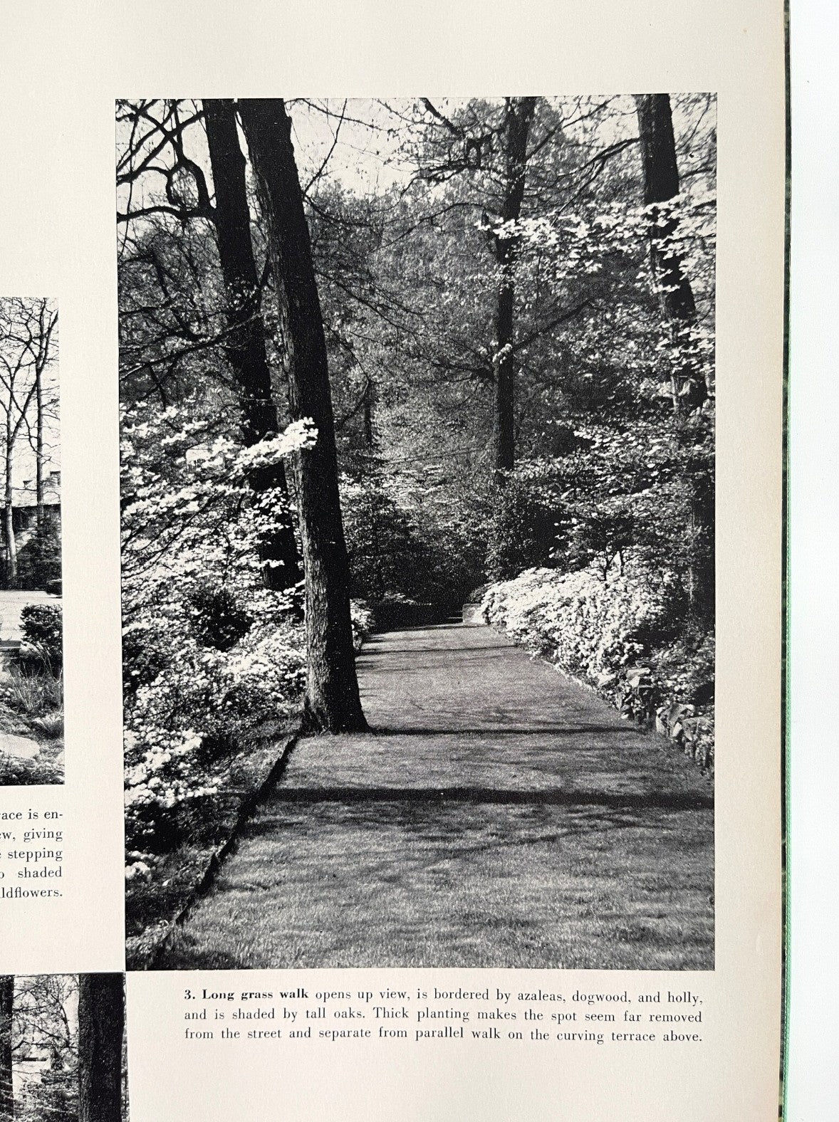 House and Garden's New Complete Book of Gardens, 1955