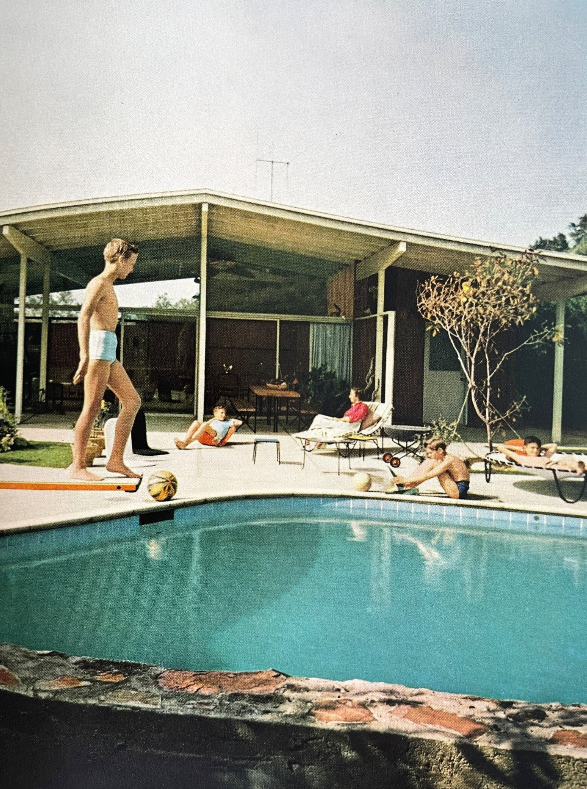 House and Garden's New Complete Book of Gardens, 1955