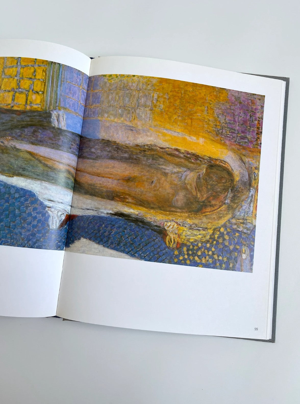 Bonnard at Le Cannet by Michel Terrasse, 1988