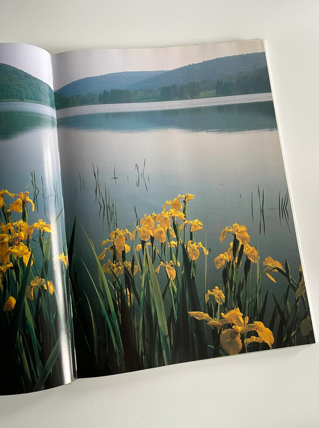 Carr Clifton New York Images of the Landscape, 1988