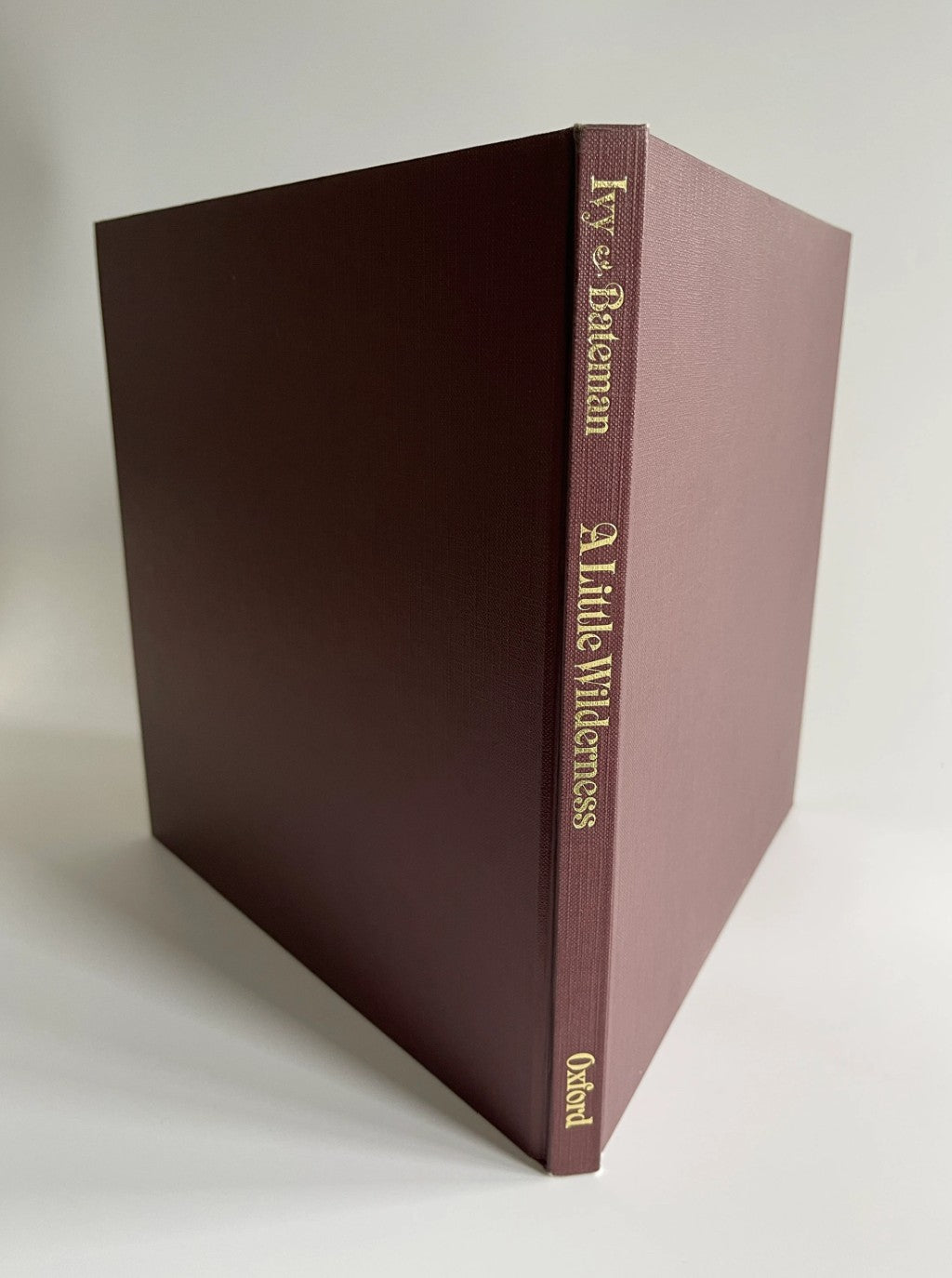 A Little Wilderness: The Natural History of Toronto, Bill Ivy, 1983
