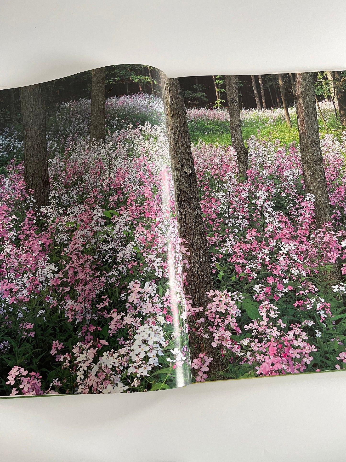 Carr Clifton New York Images of the Landscape, 1988