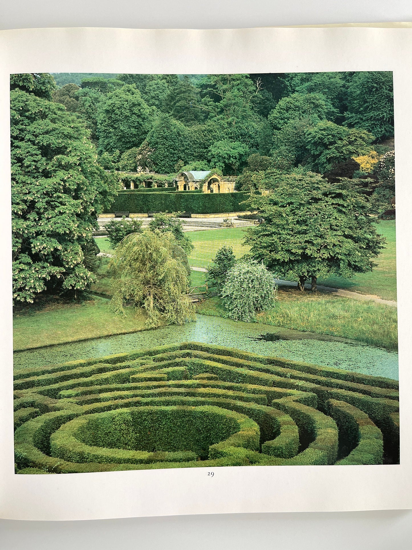 A View from a Window, Heather Angel, 1988