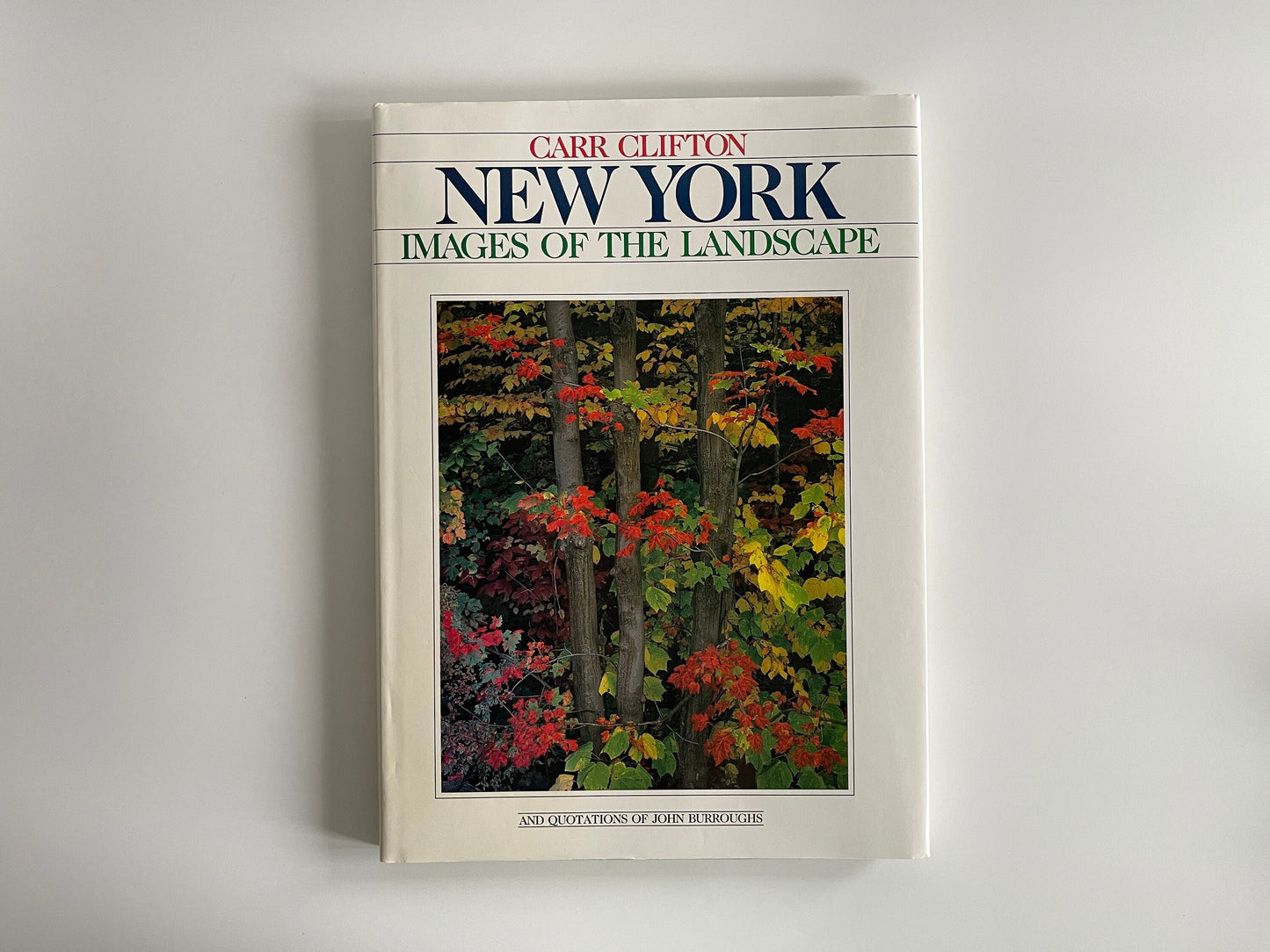 Carr Clifton New York Images of the Landscape, 1988