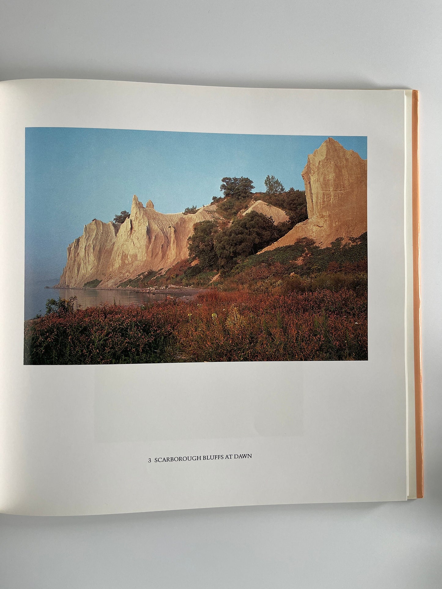A Little Wilderness: The Natural History of Toronto, Bill Ivy, 1983