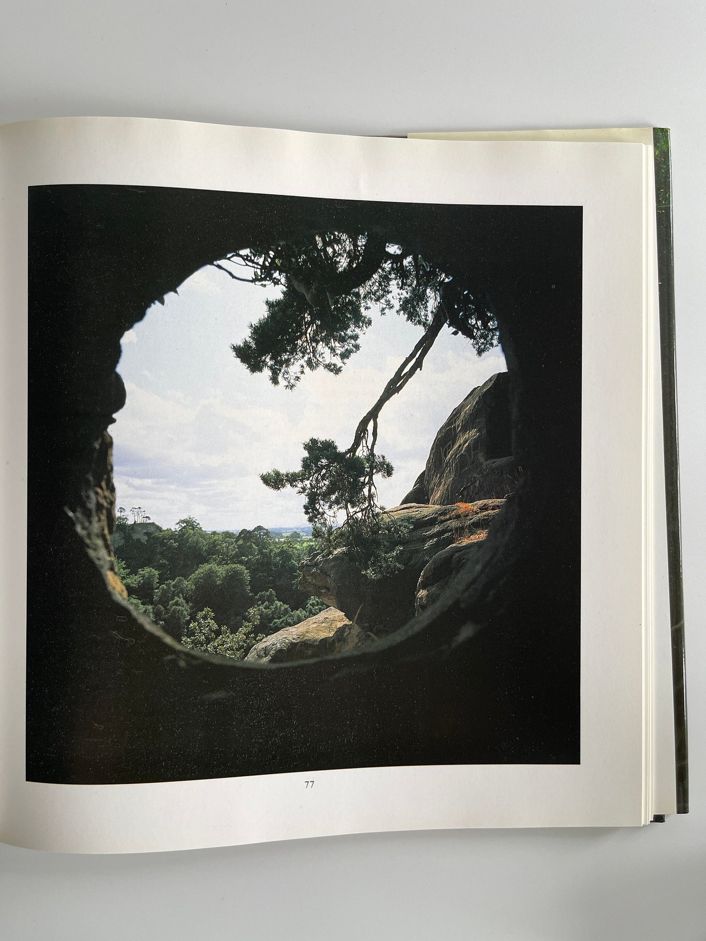 A View from a Window, Heather Angel, 1988