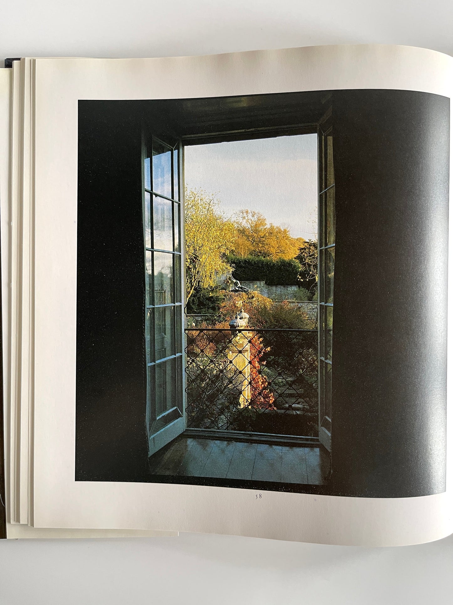 A View from a Window, Heather Angel, 1988