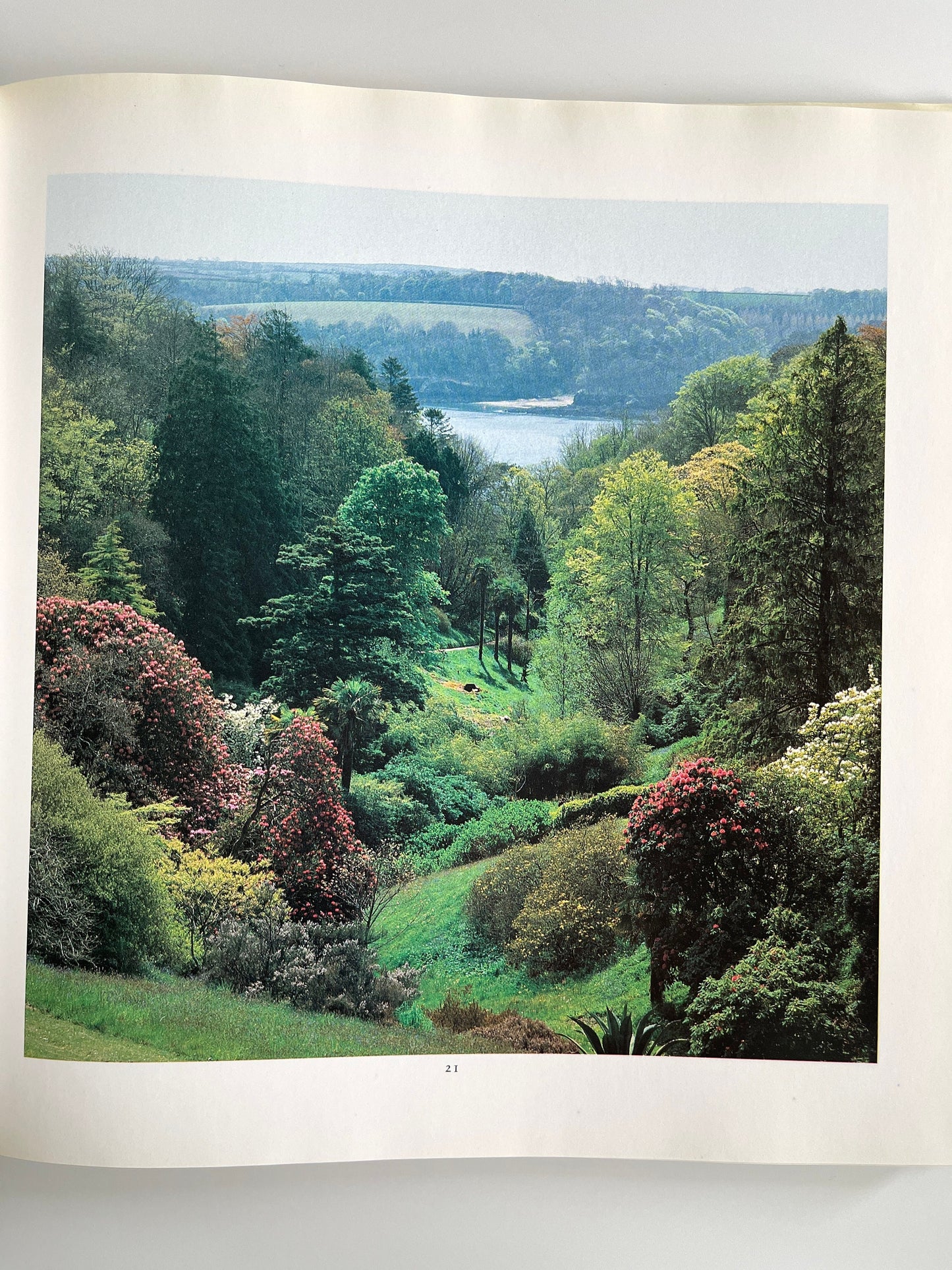 A View from a Window, Heather Angel, 1988