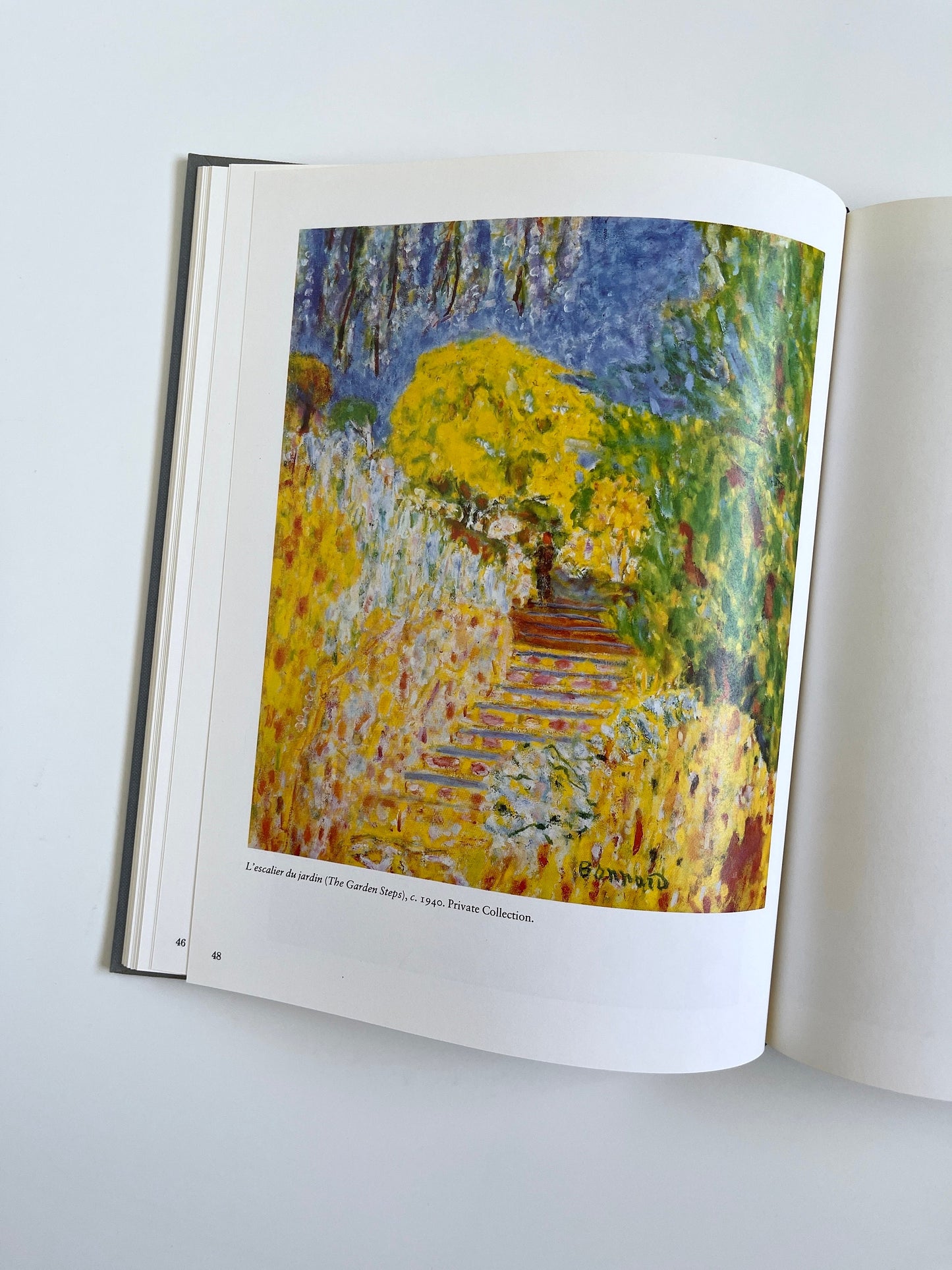 Bonnard at Le Cannet by Michel Terrasse, 1988