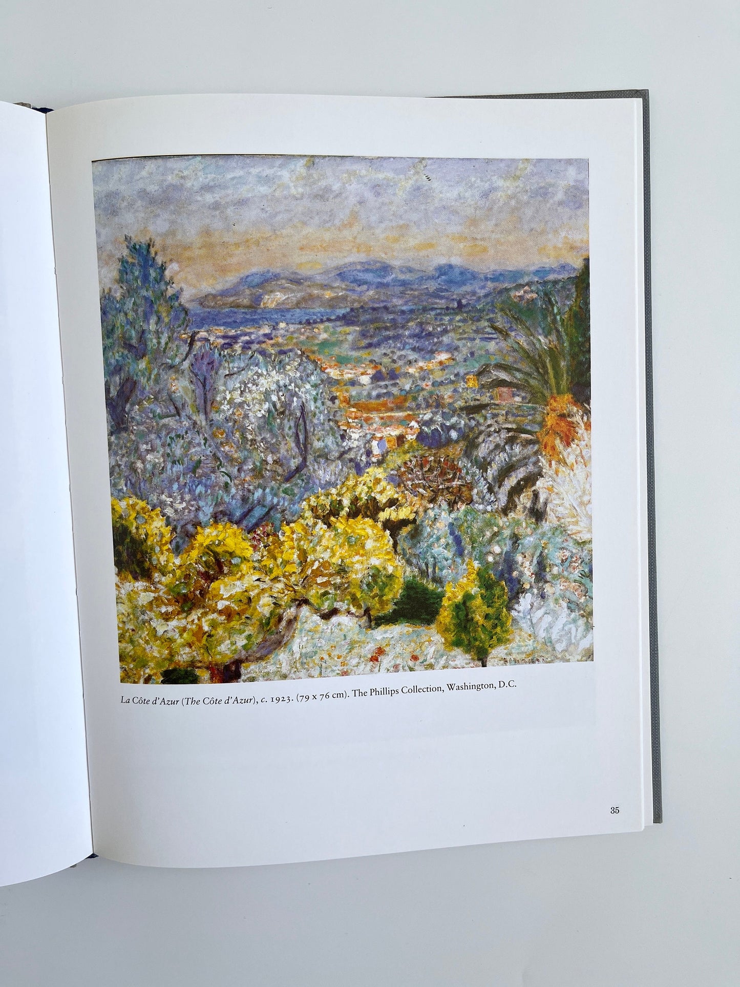 Bonnard at Le Cannet by Michel Terrasse, 1988