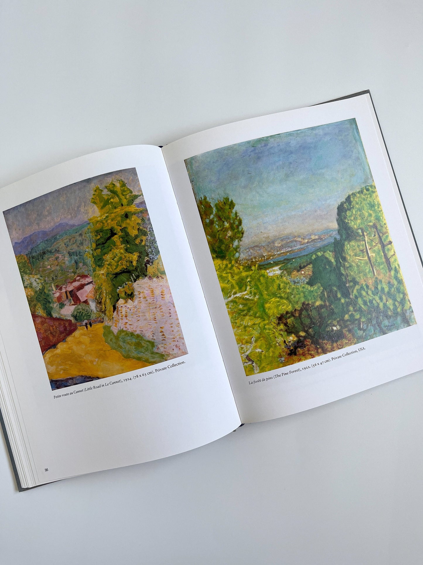 Bonnard at Le Cannet by Michel Terrasse, 1988