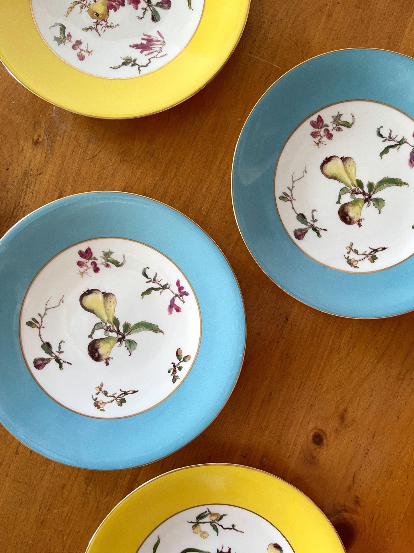 Haviland France Botanical Dessert Plates