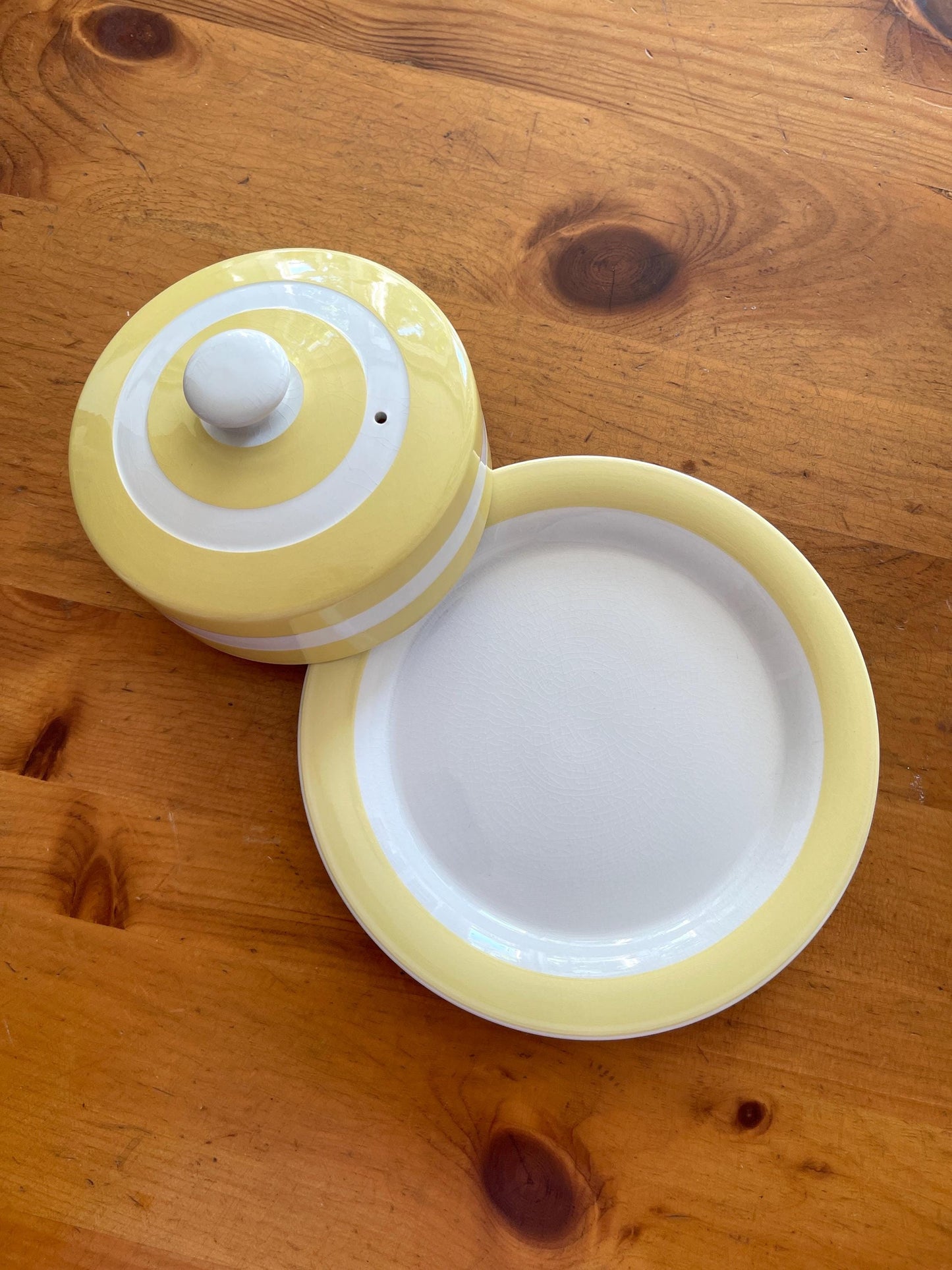 T. G. Green Cornishware Cheese Dish