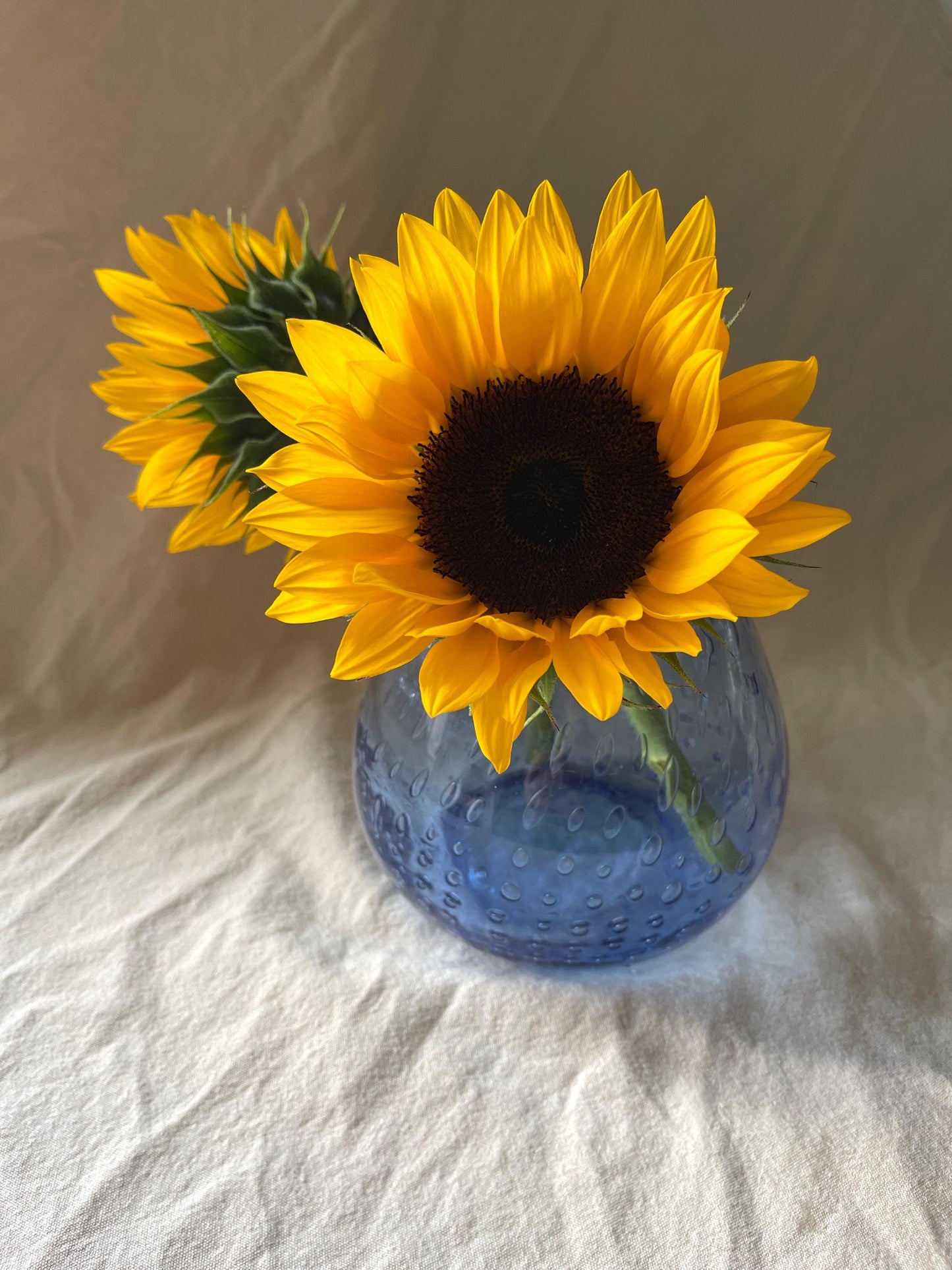 Vintage Bullicante Blown Glass Vase
