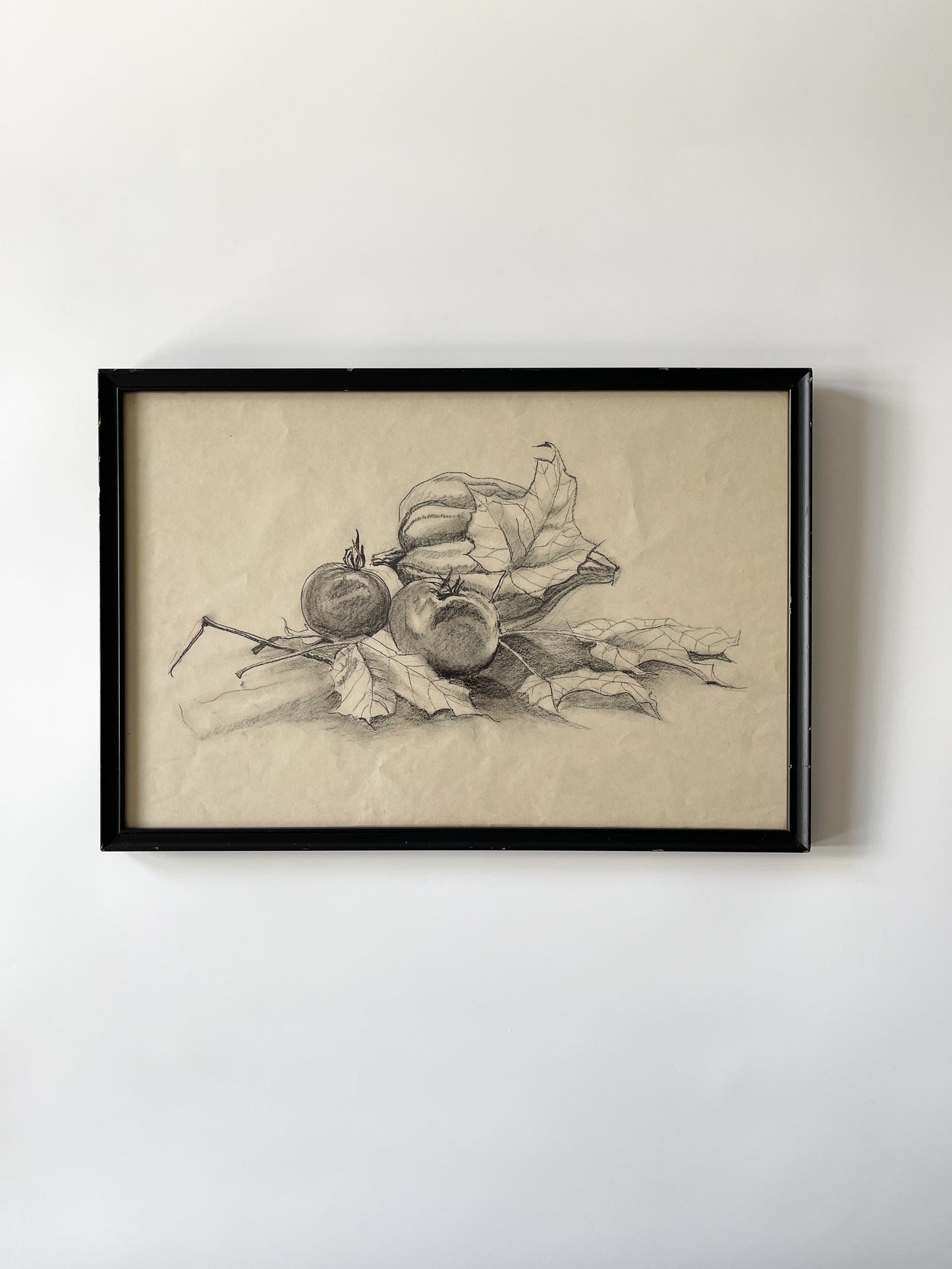 Vintage Framed Fall Harvest Still Life Sketch