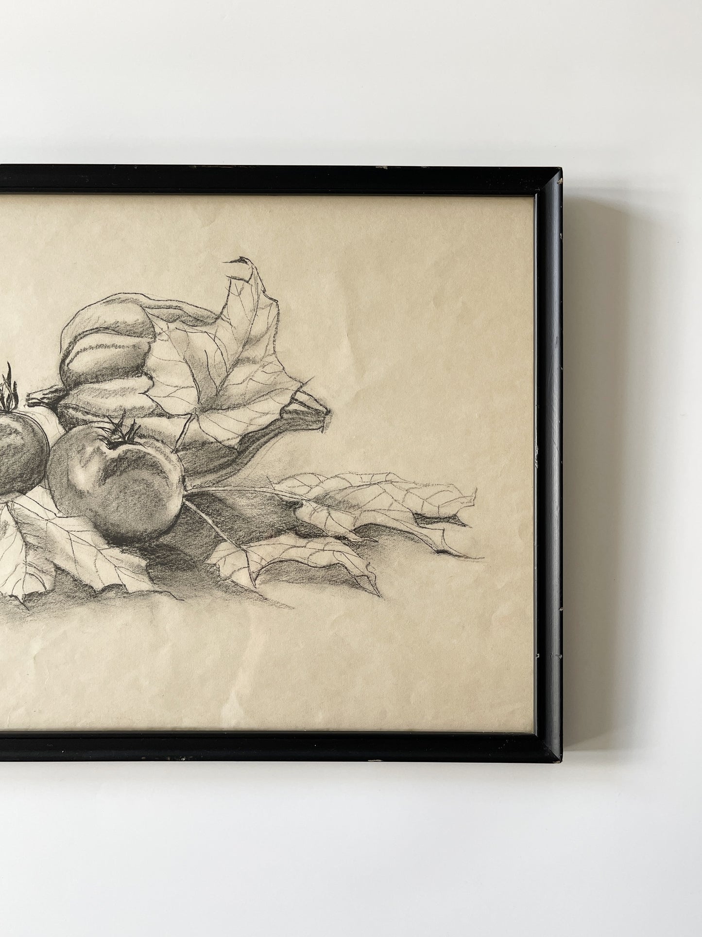 Vintage Framed Fall Harvest Still Life Sketch