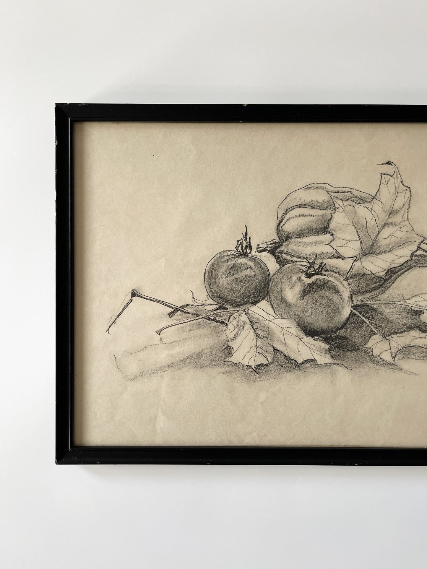 Vintage Framed Fall Harvest Still Life Sketch