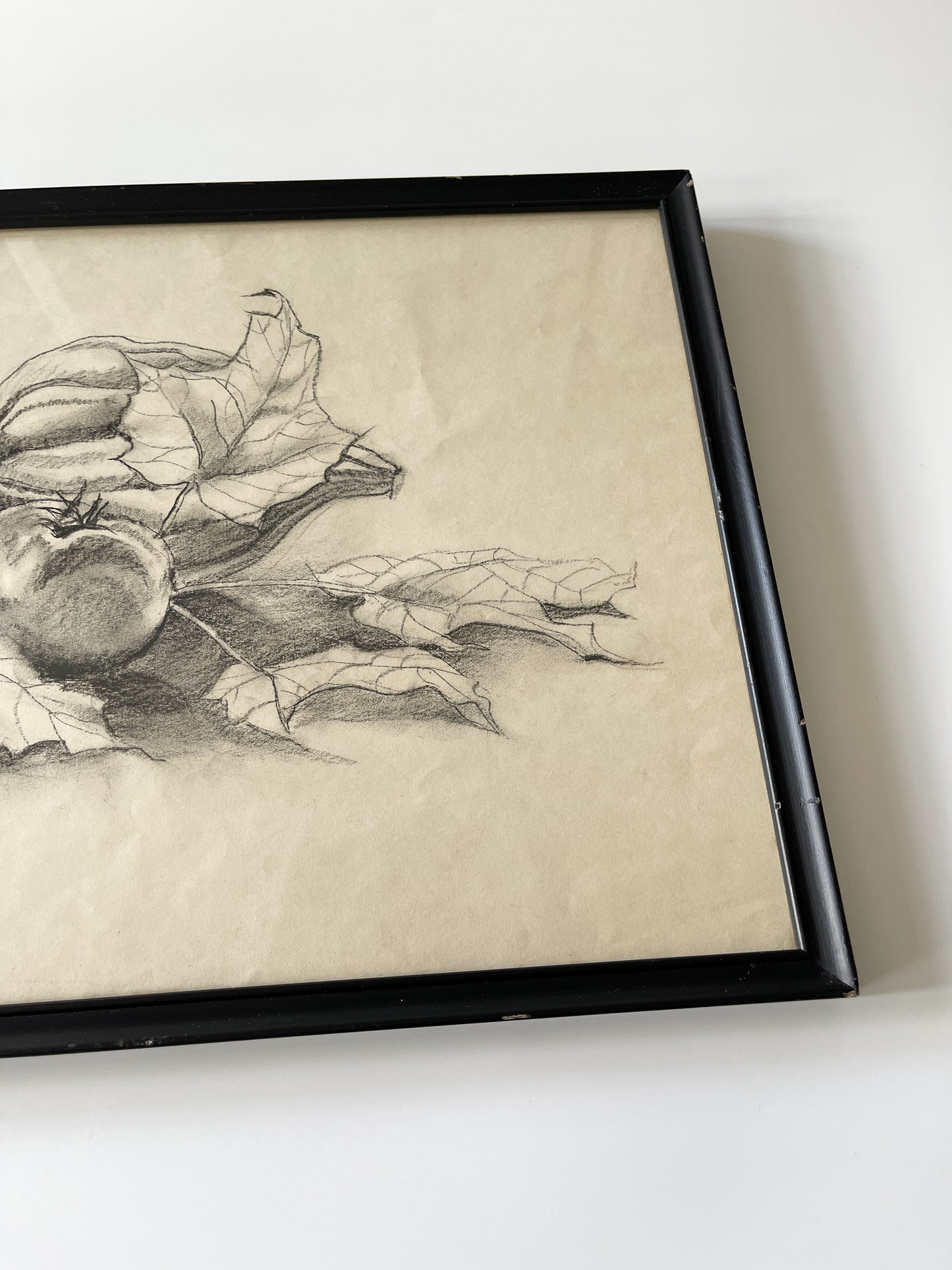 Vintage Framed Fall Harvest Still Life Sketch