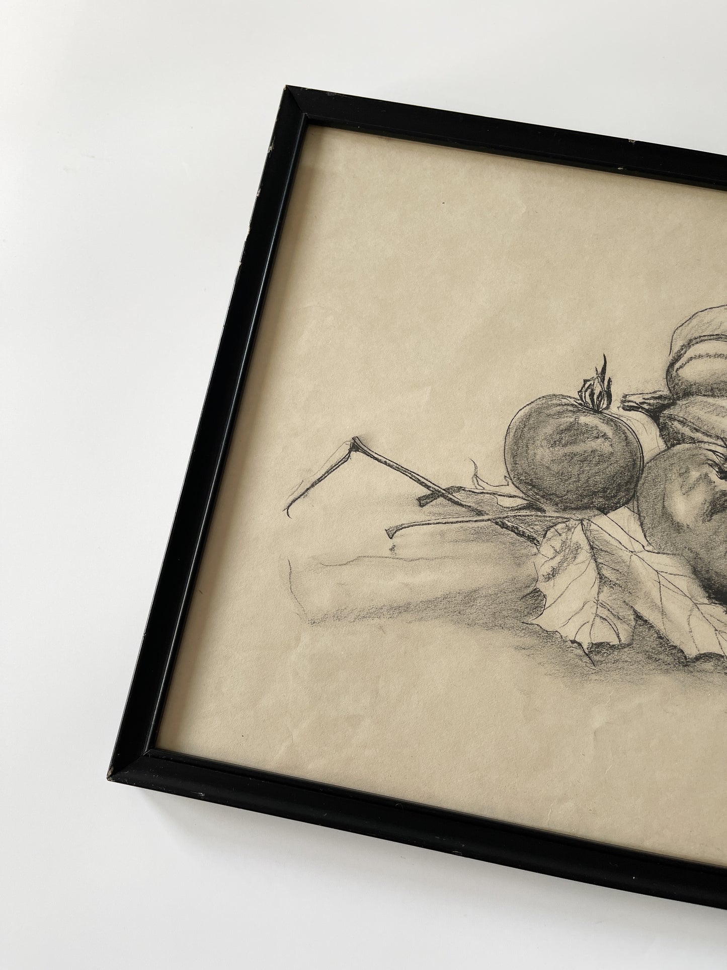 Vintage Framed Fall Harvest Still Life Sketch