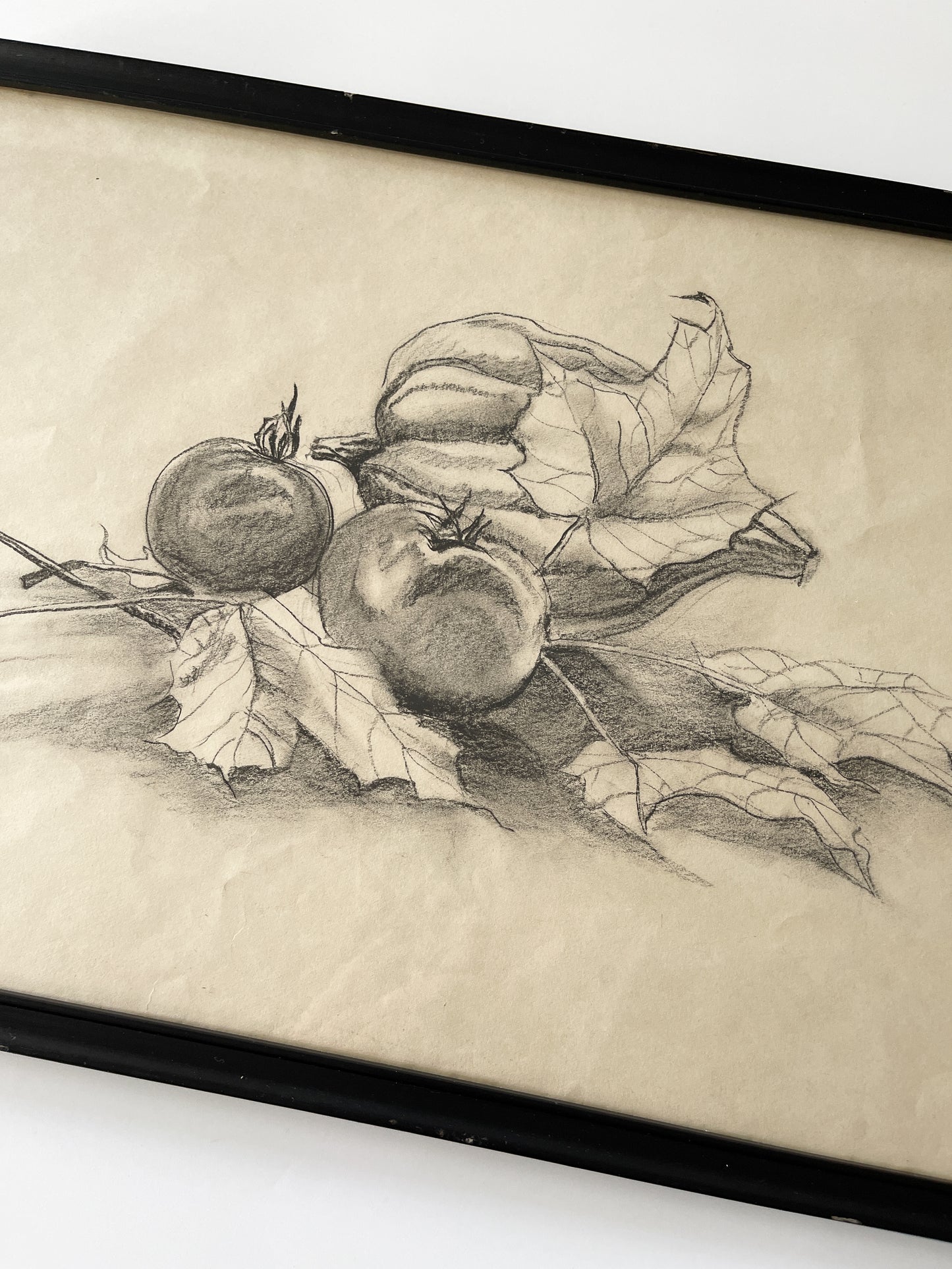 Vintage Framed Fall Harvest Still Life Sketch