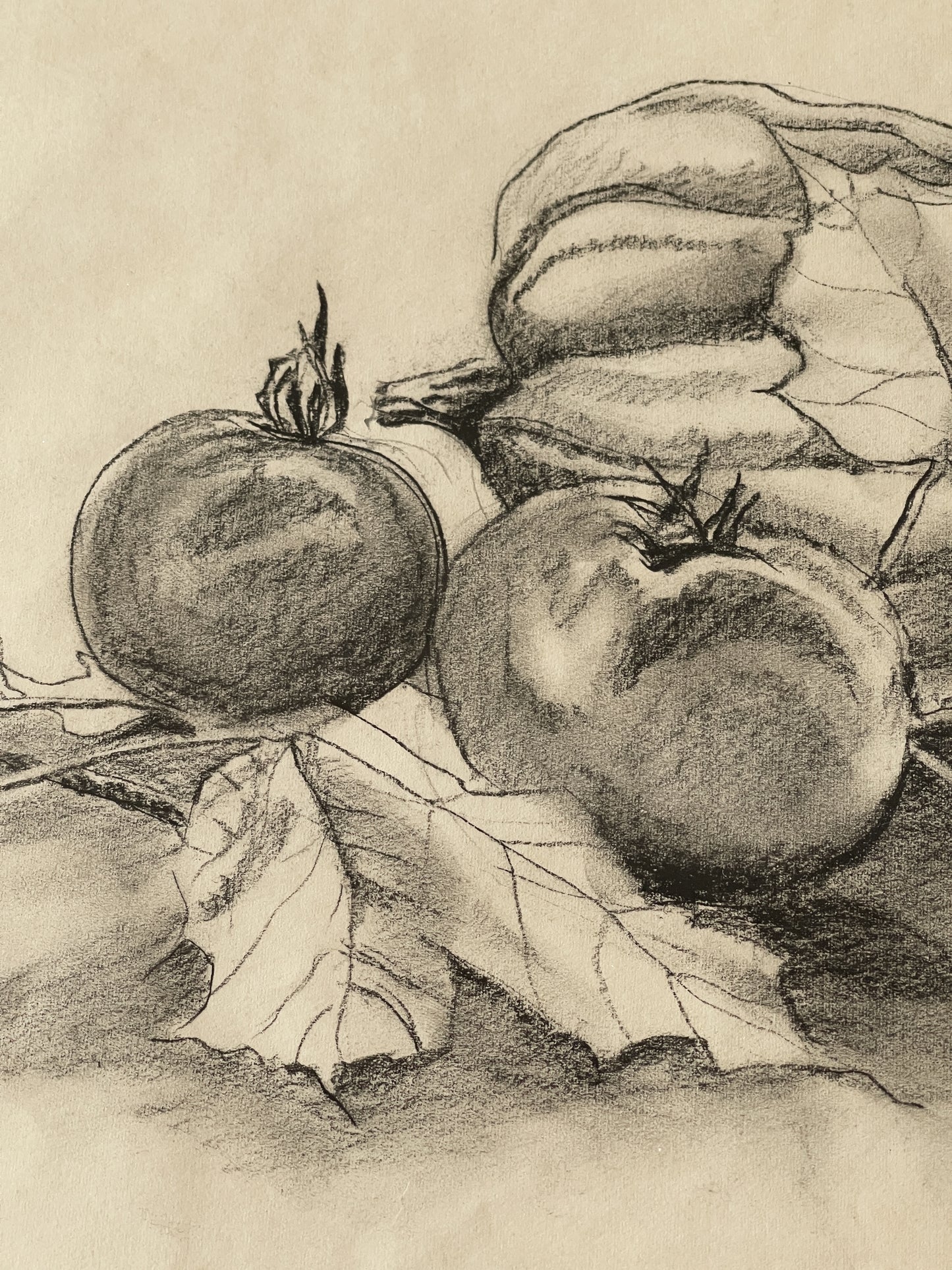 Vintage Framed Fall Harvest Still Life Sketch