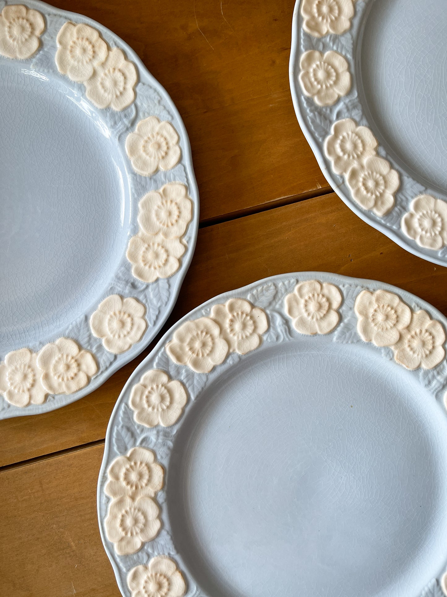 Vintage 1950s Rosewood Blue Dinner Plates