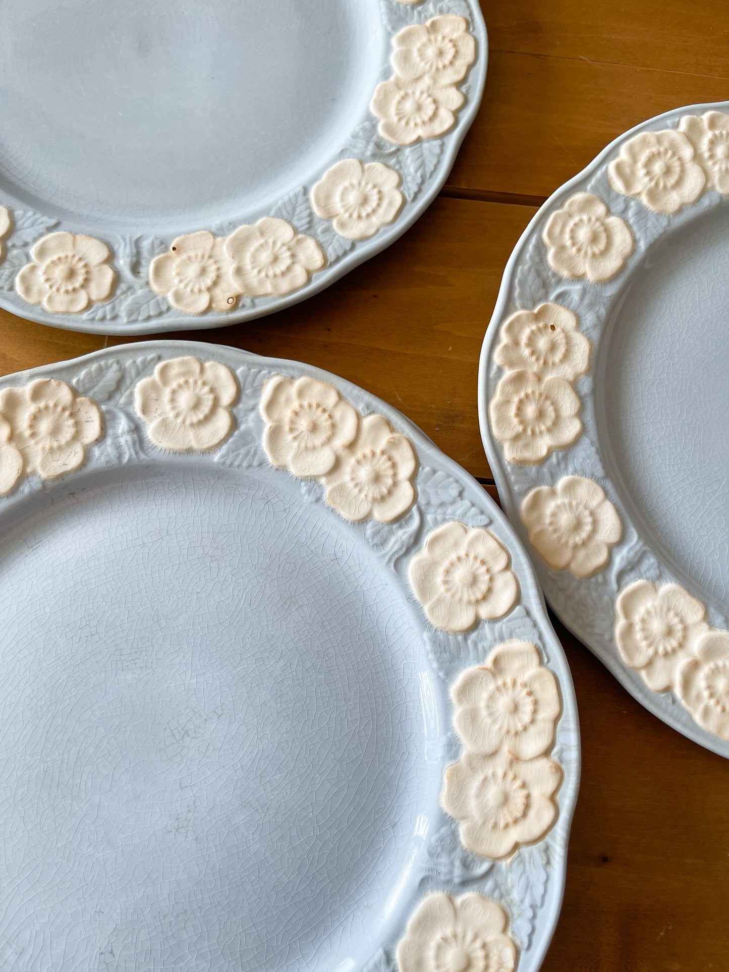 Vintage 1950s Rosewood Blue Dinner Plates