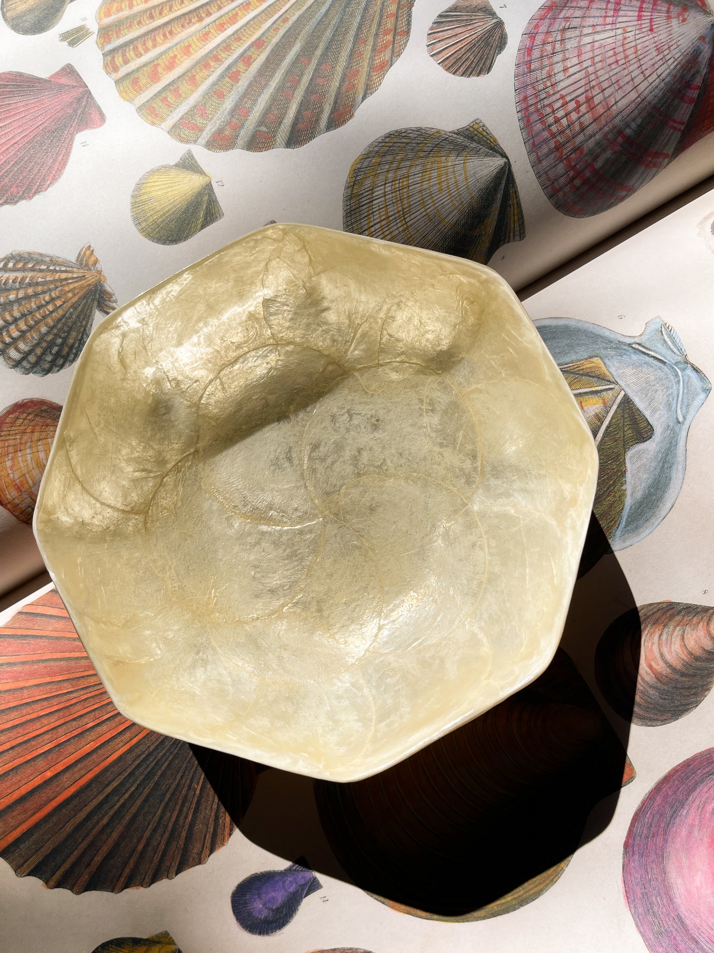 Vintage Lacquered Capiz Shell Catchall